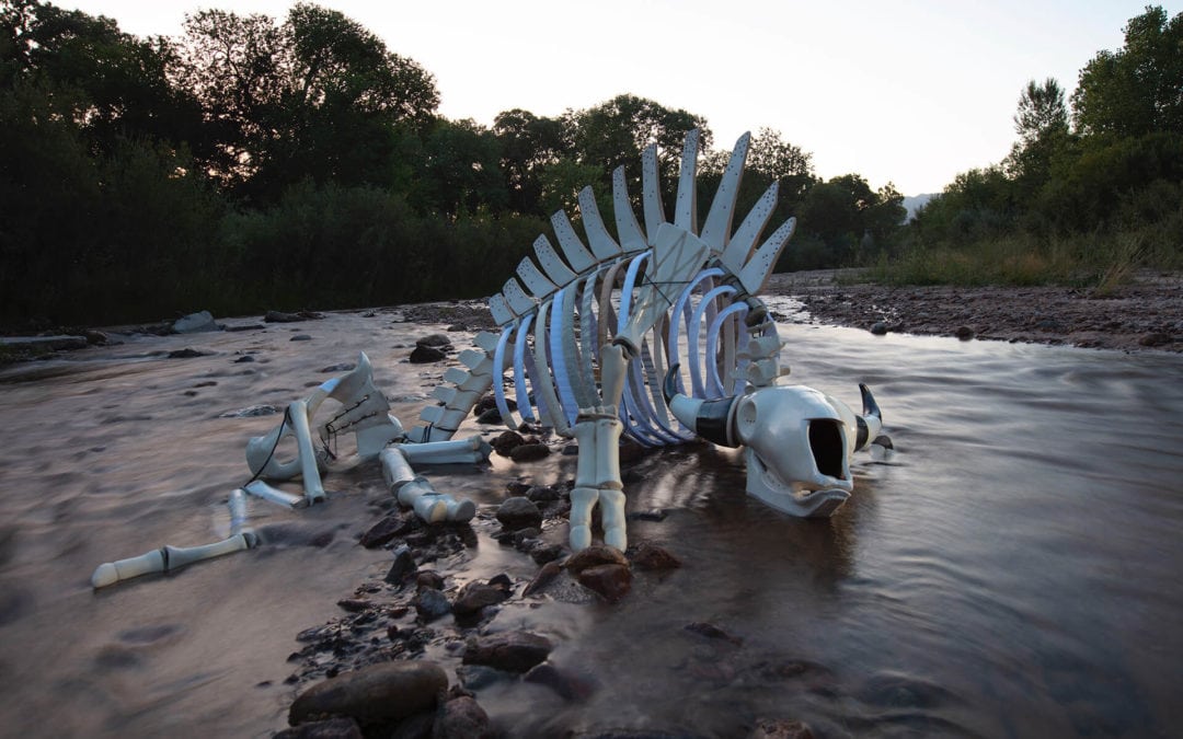 VASE Lectures 2025-2026