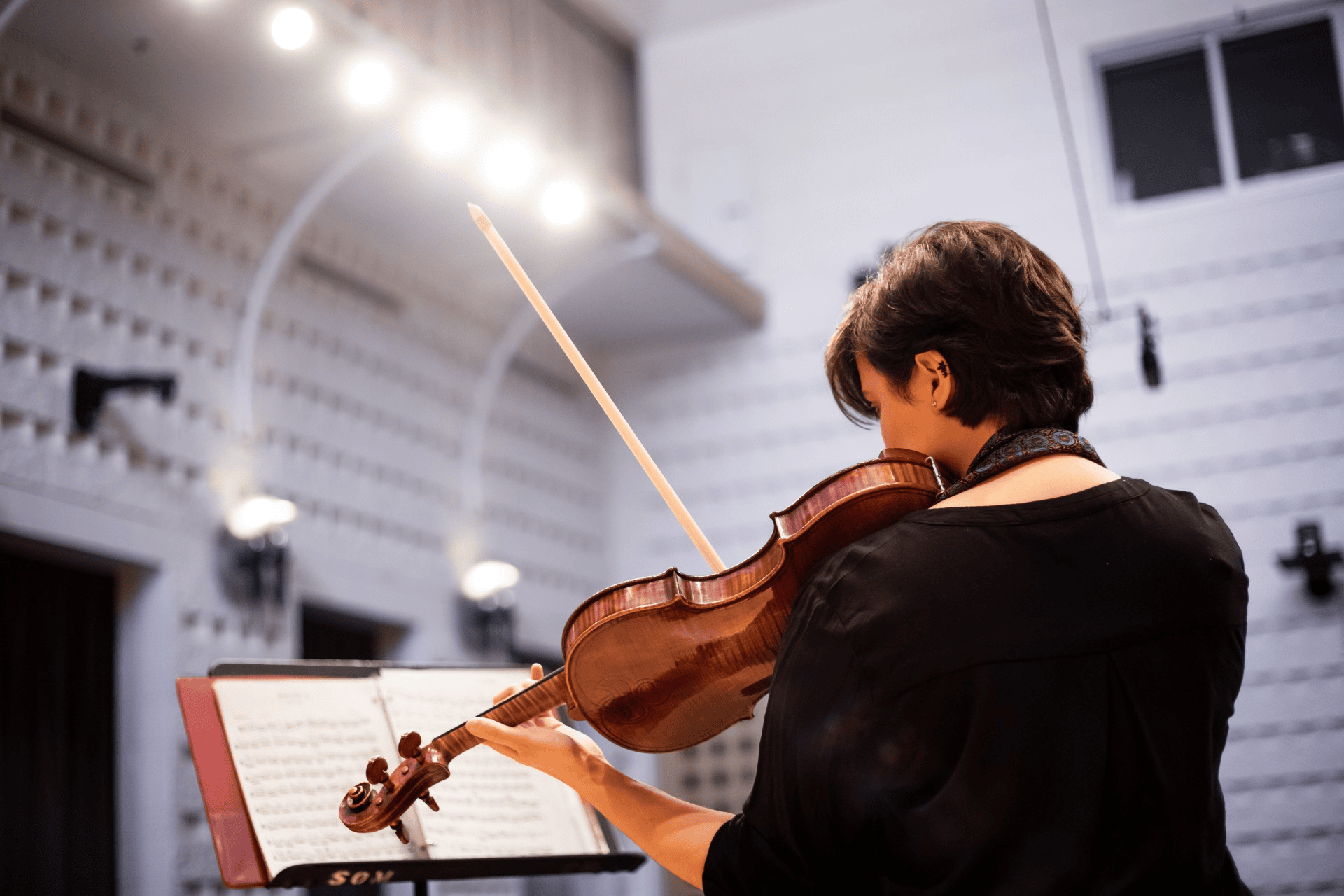 Ana Luiza Tovo Loureiro