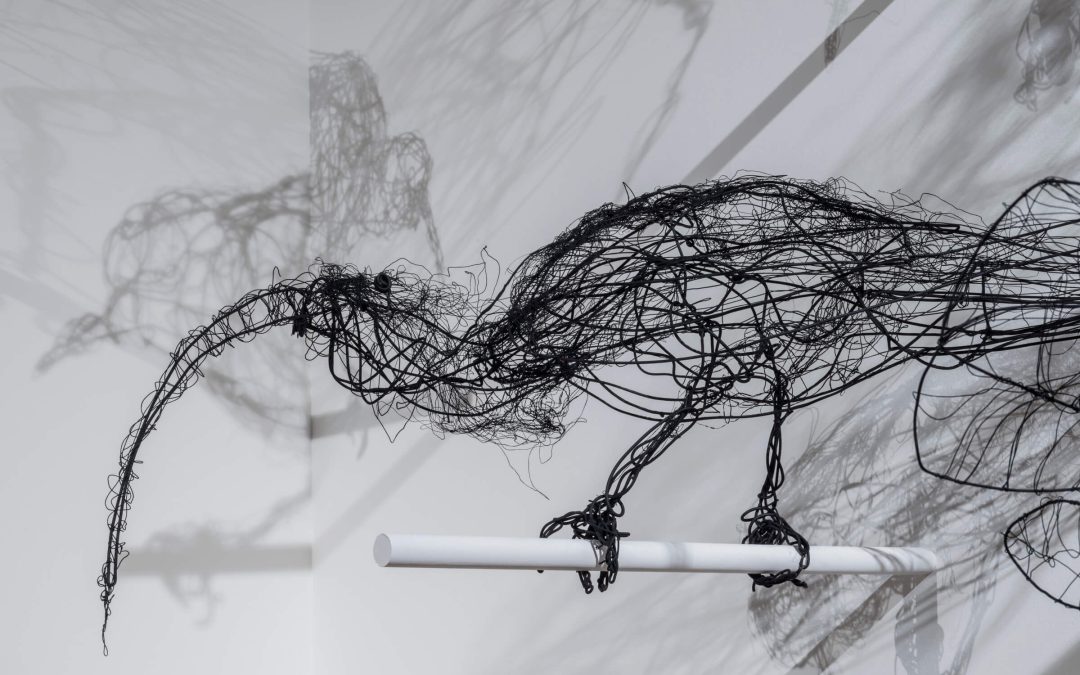 Aubrey Behrens