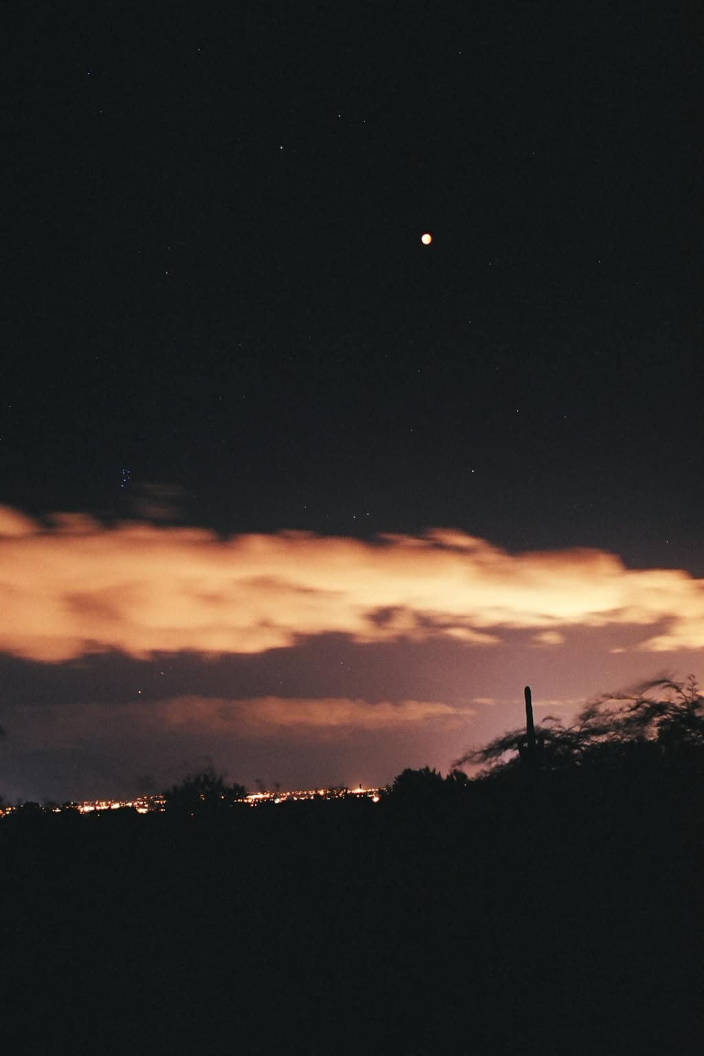 2004