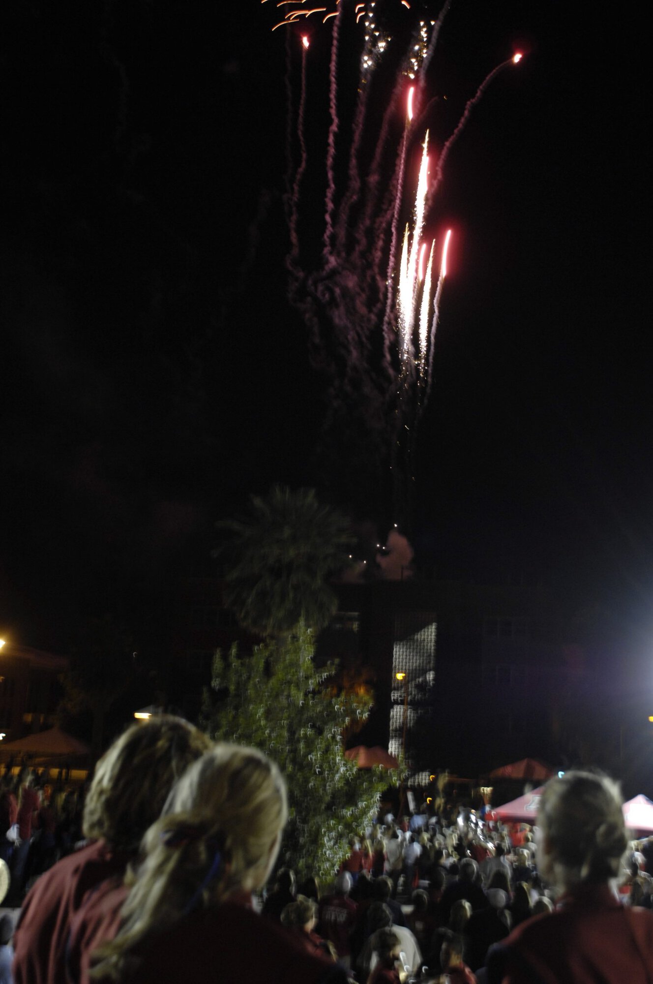 Homecoming Bonfire and Rally 11-02-07