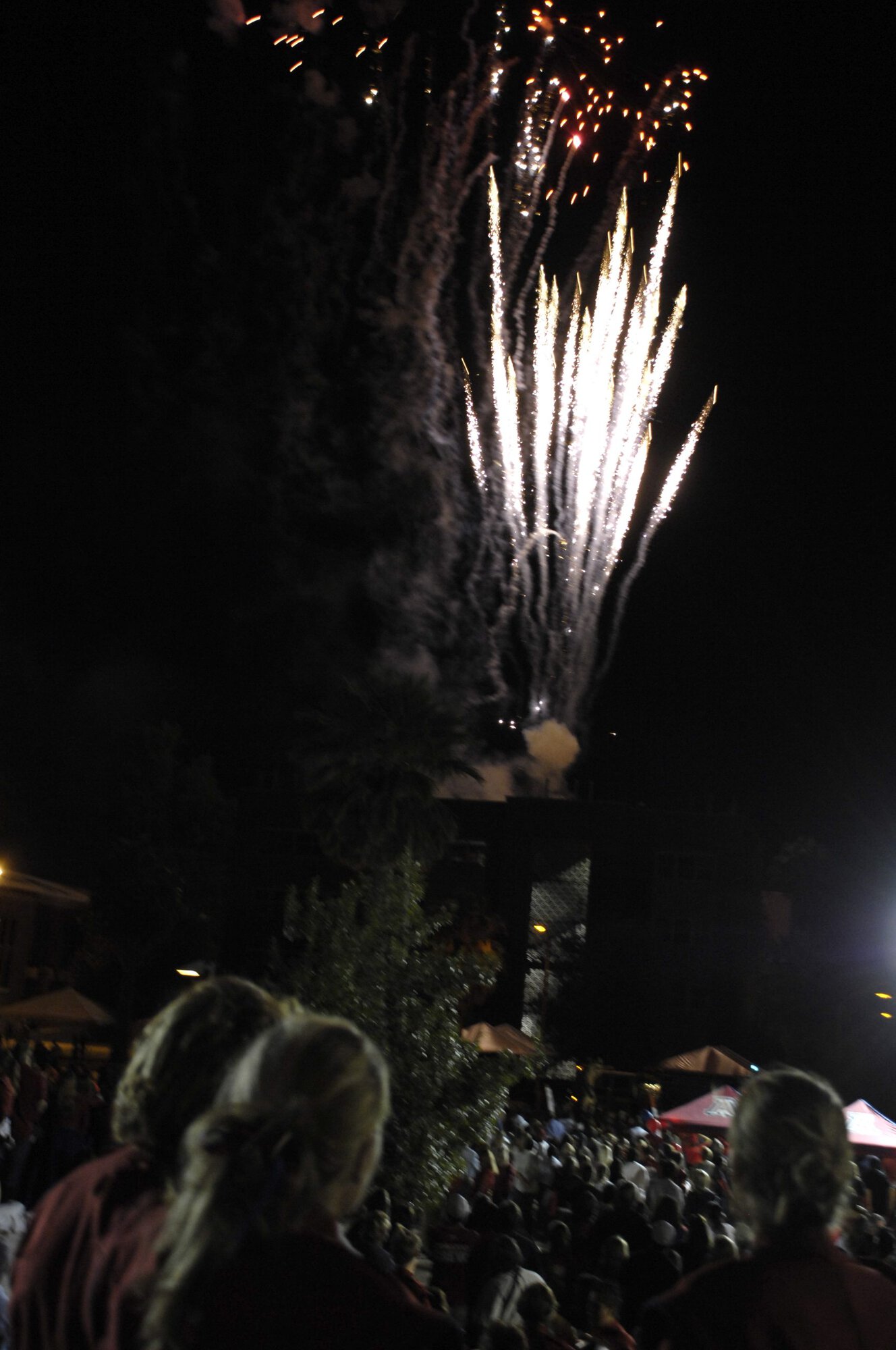 Homecoming Bonfire and Rally 11-02-07