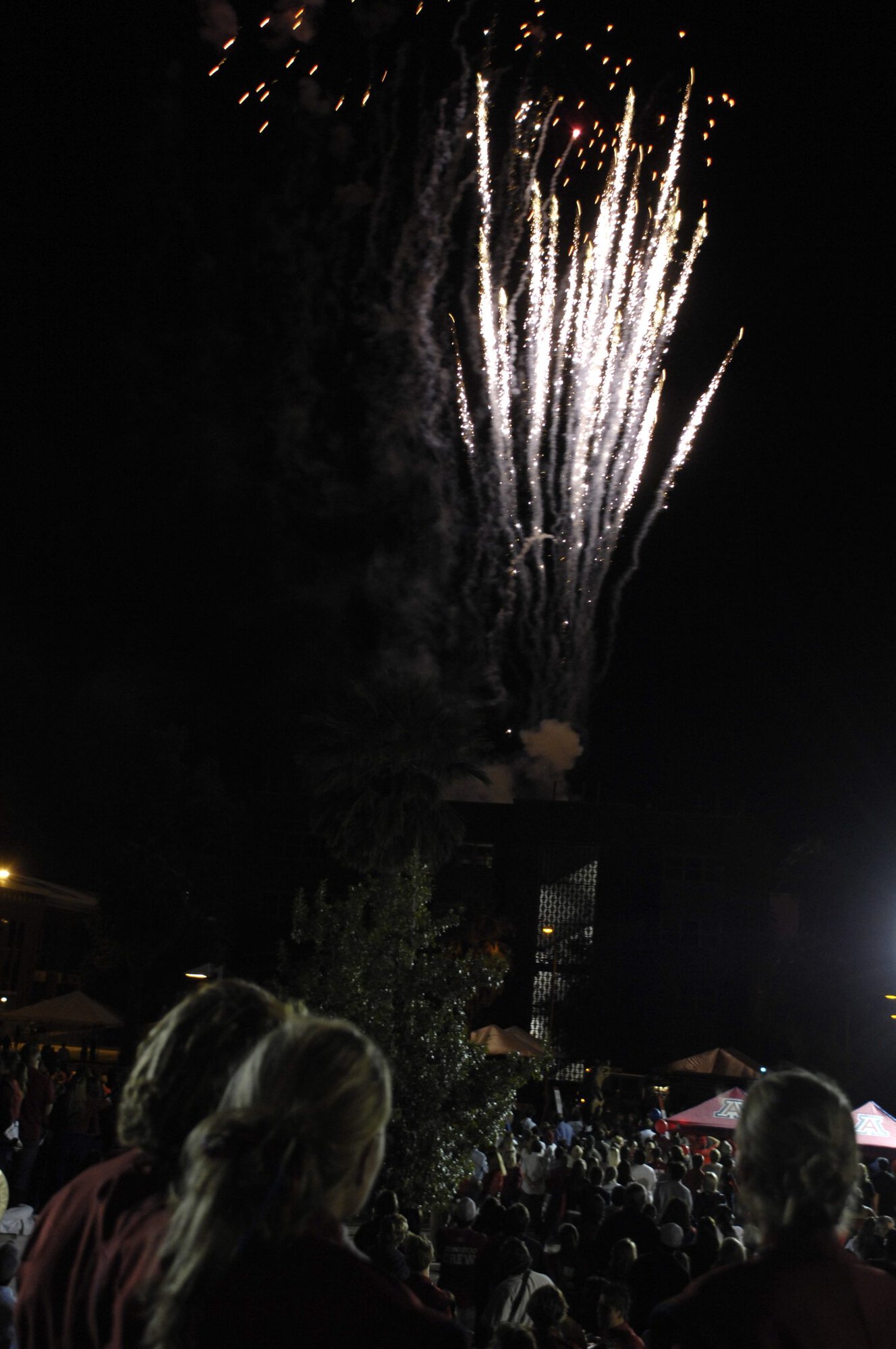 Homecoming Bonfire and Rally 11-02-07