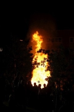 Bonfire, Game, and More