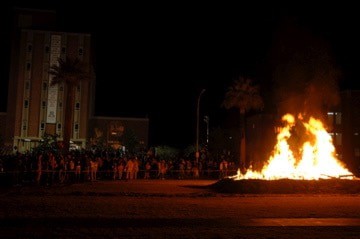 Bonfire, Game, and More