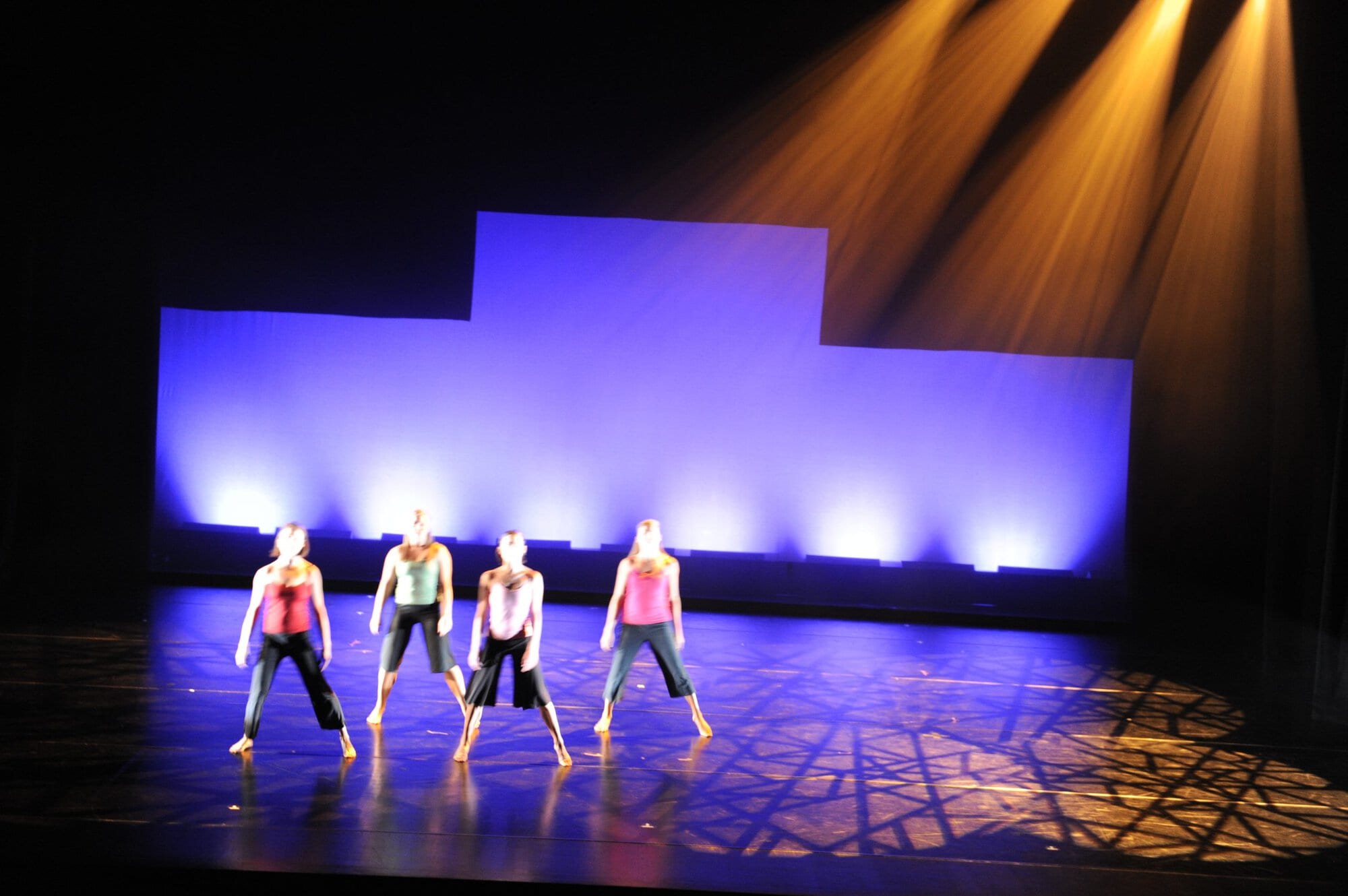 Herberger dance presentation
