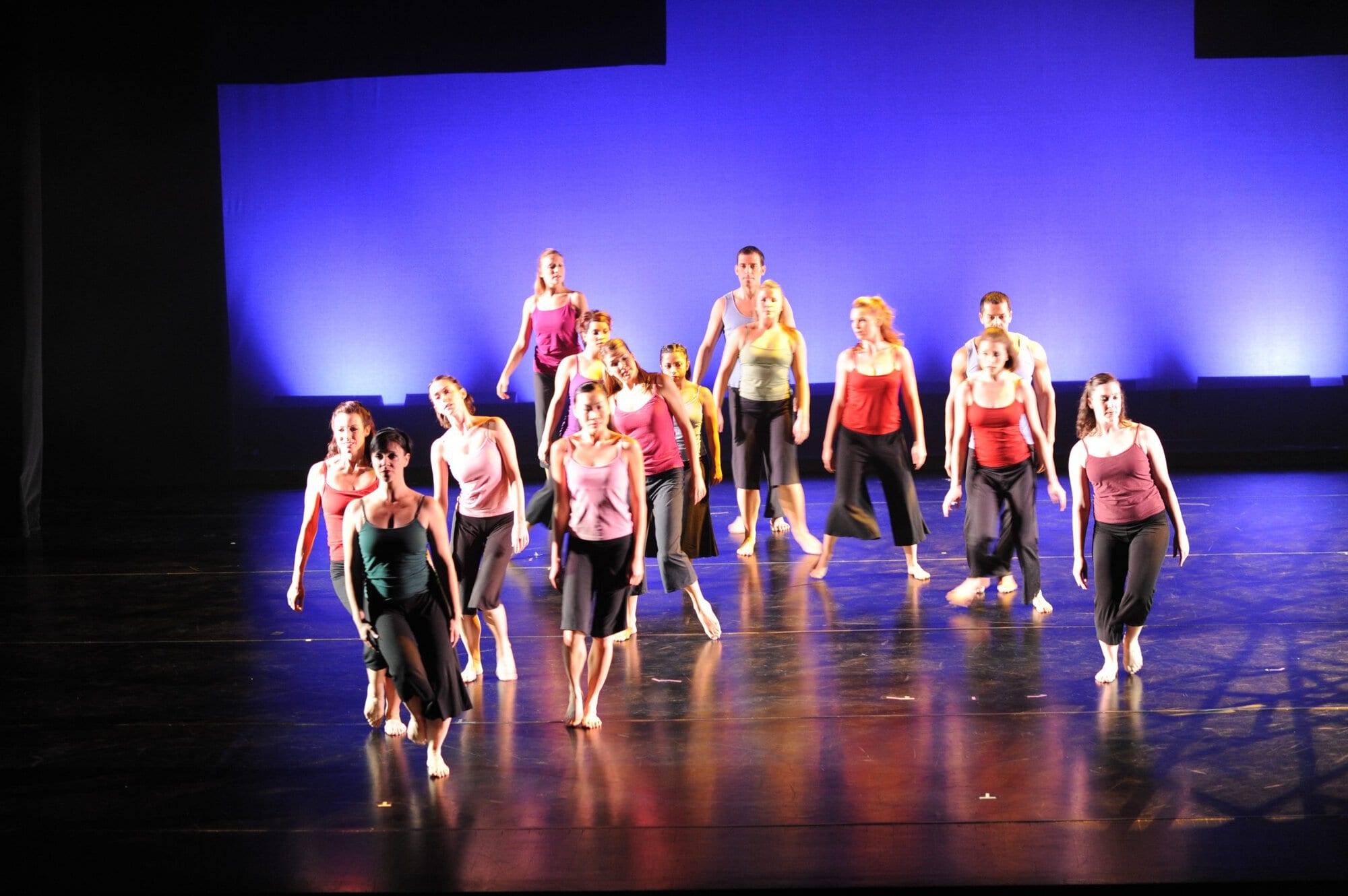 Herberger dance presentation