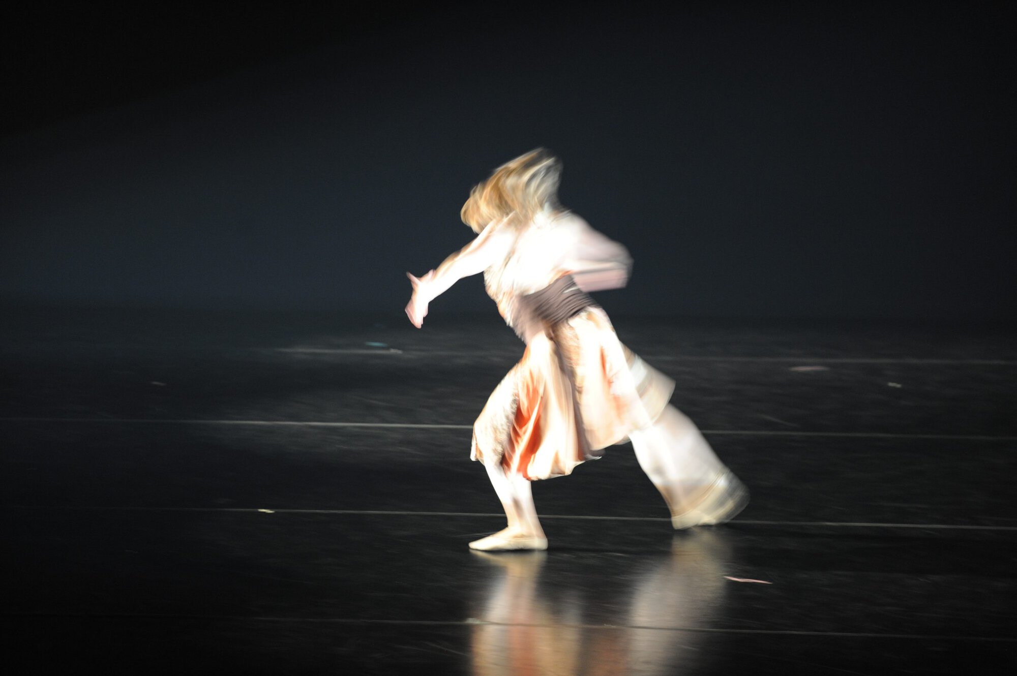 Herberger dance presentation