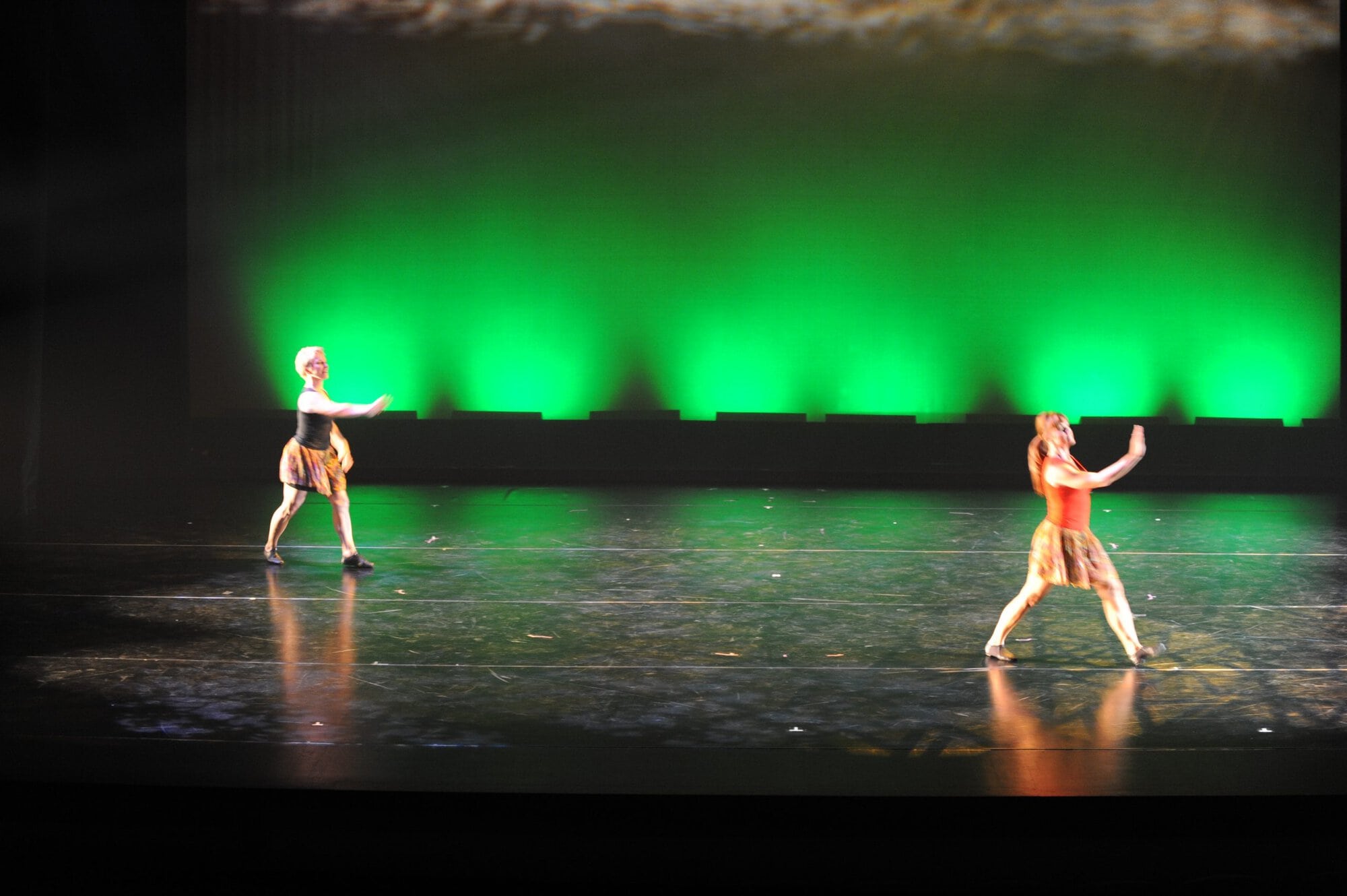 Herberger dance presentation