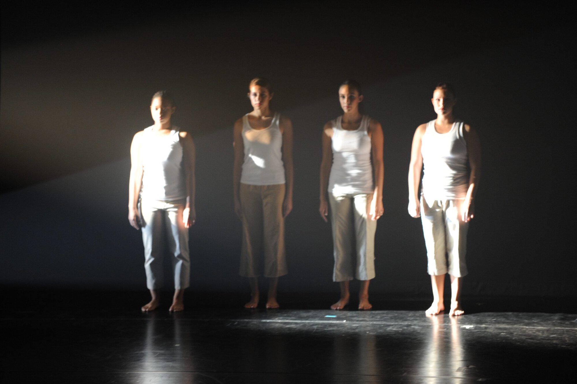 Herberger dance presentation