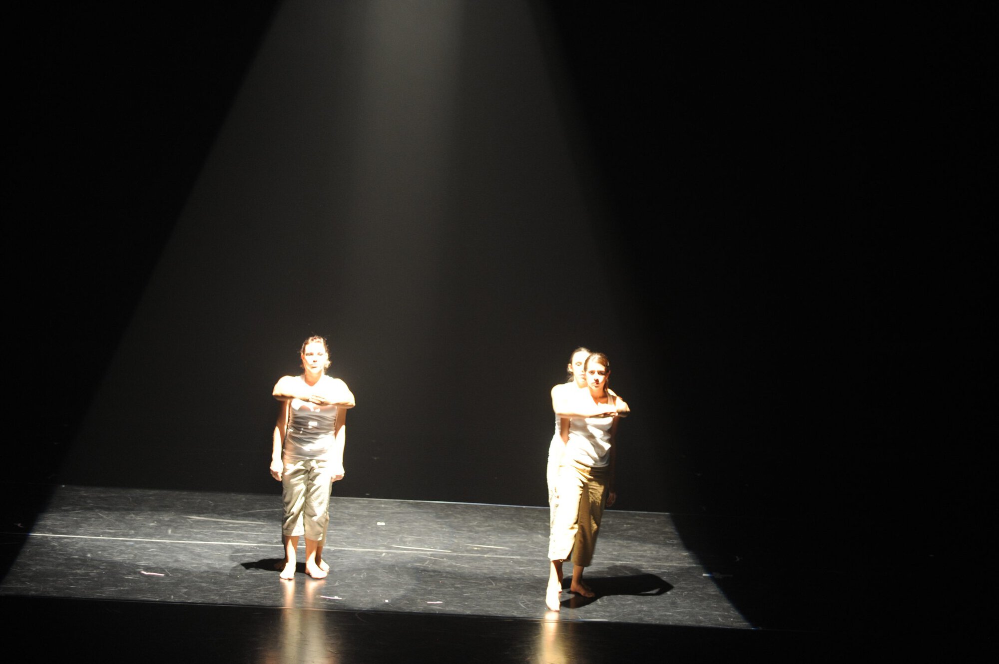 Herberger dance presentation