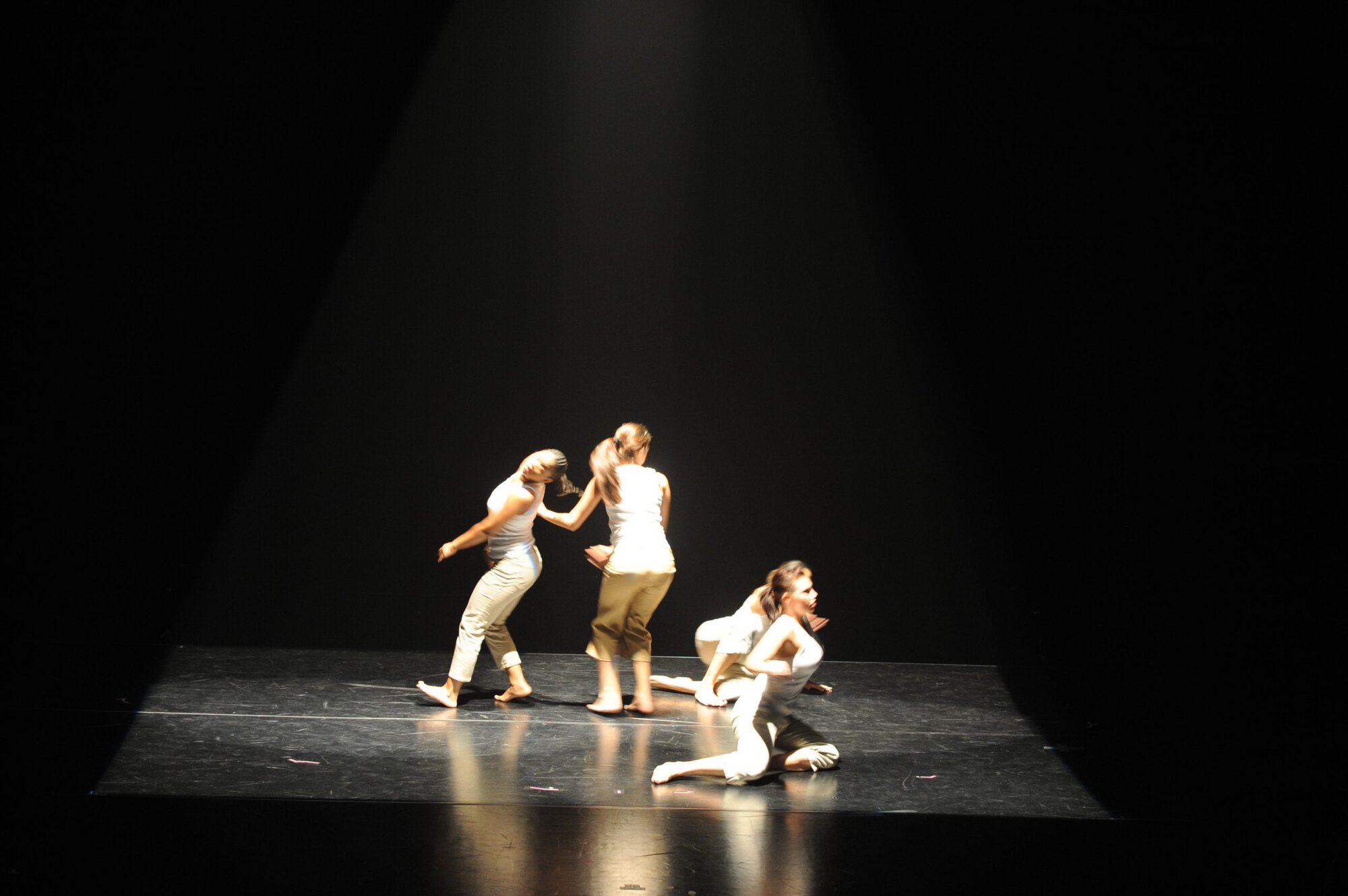 Herberger dance presentation