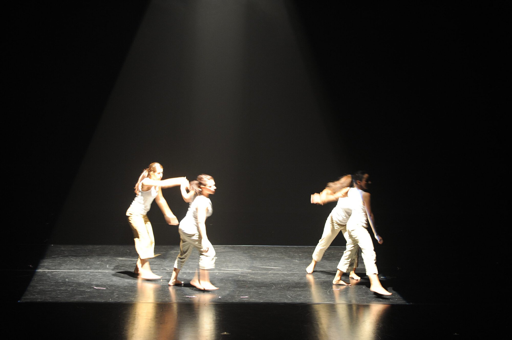 Herberger dance presentation