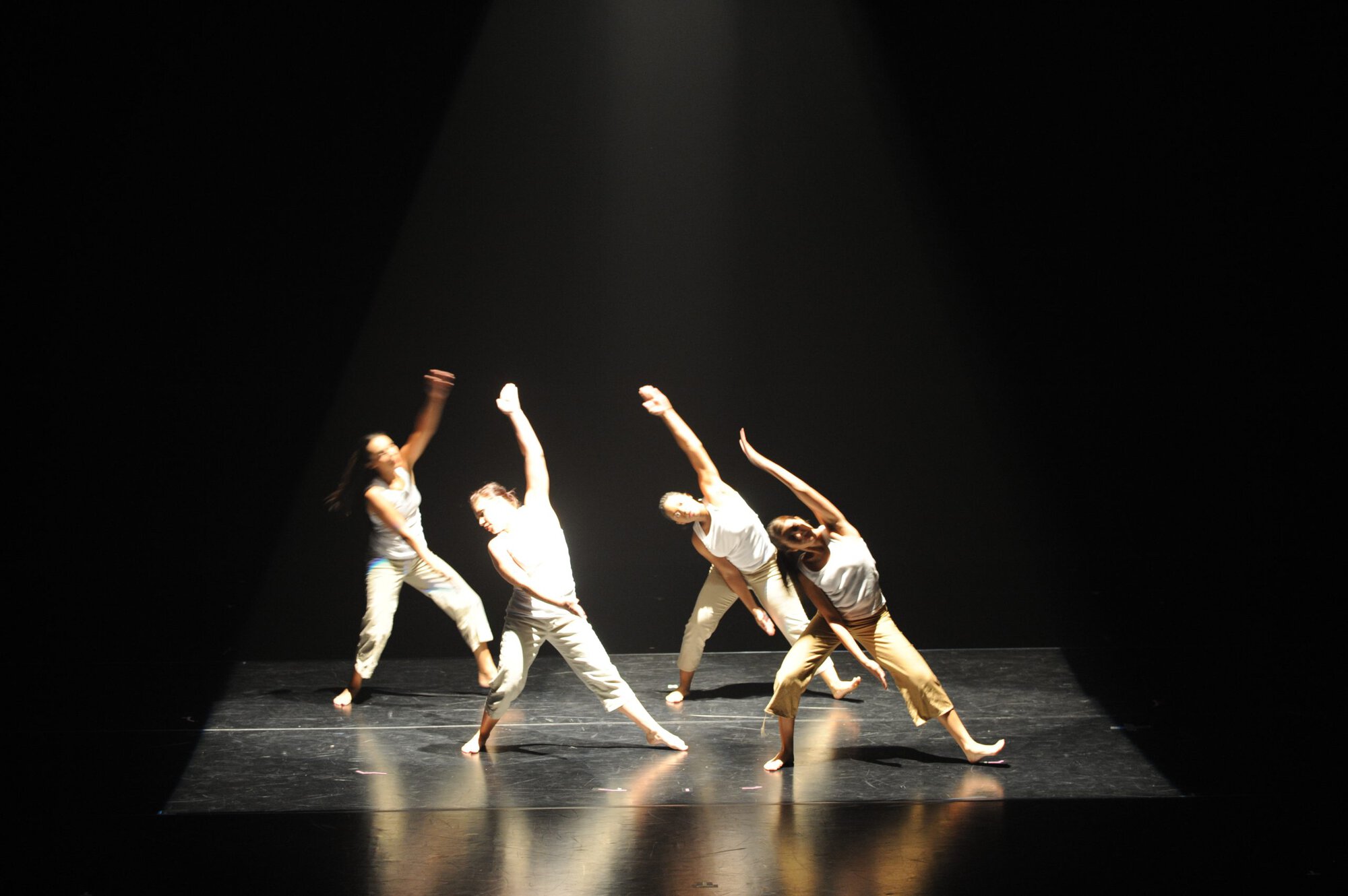 Herberger dance presentation