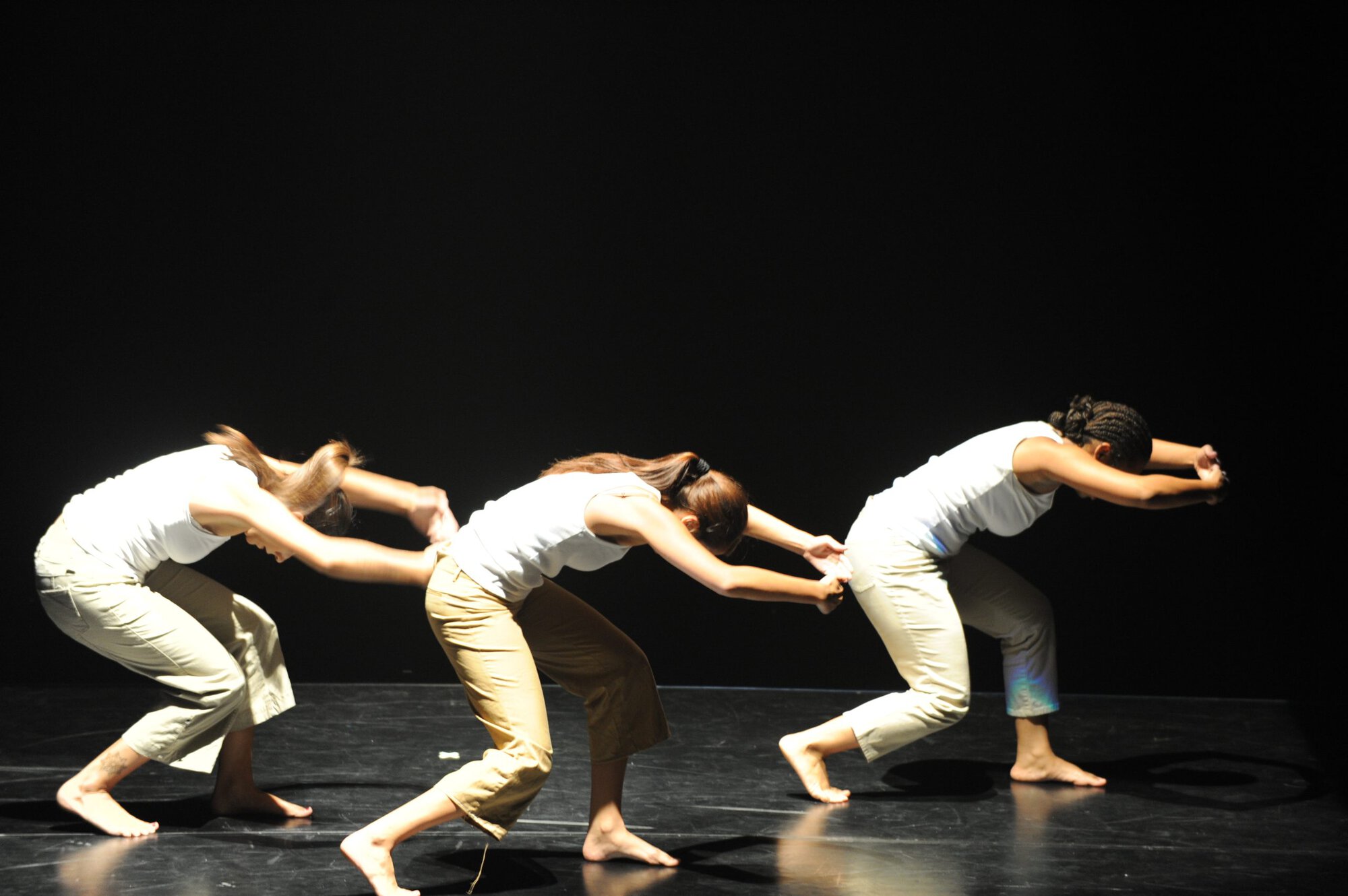 Herberger dance presentation