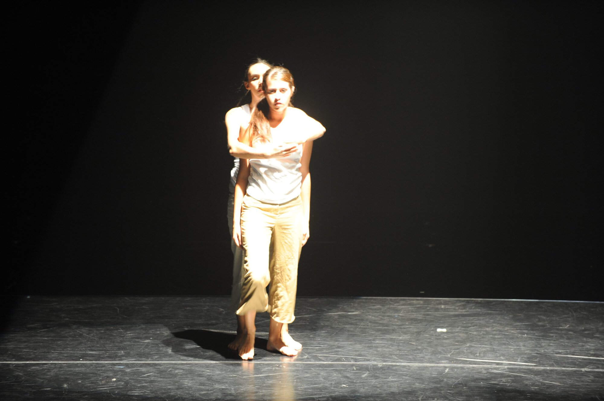 Herberger dance presentation