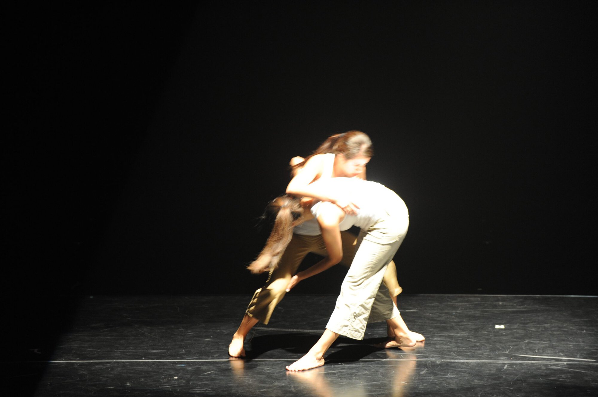 Herberger dance presentation