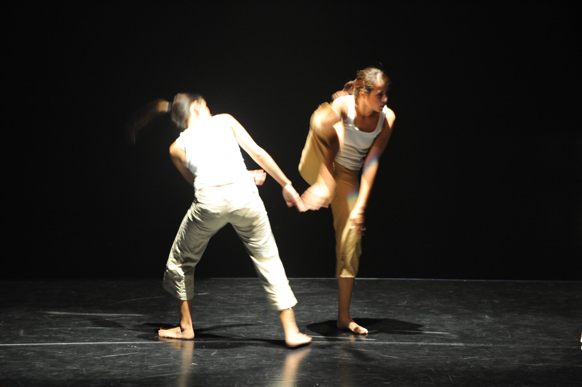 Herberger dance presentation