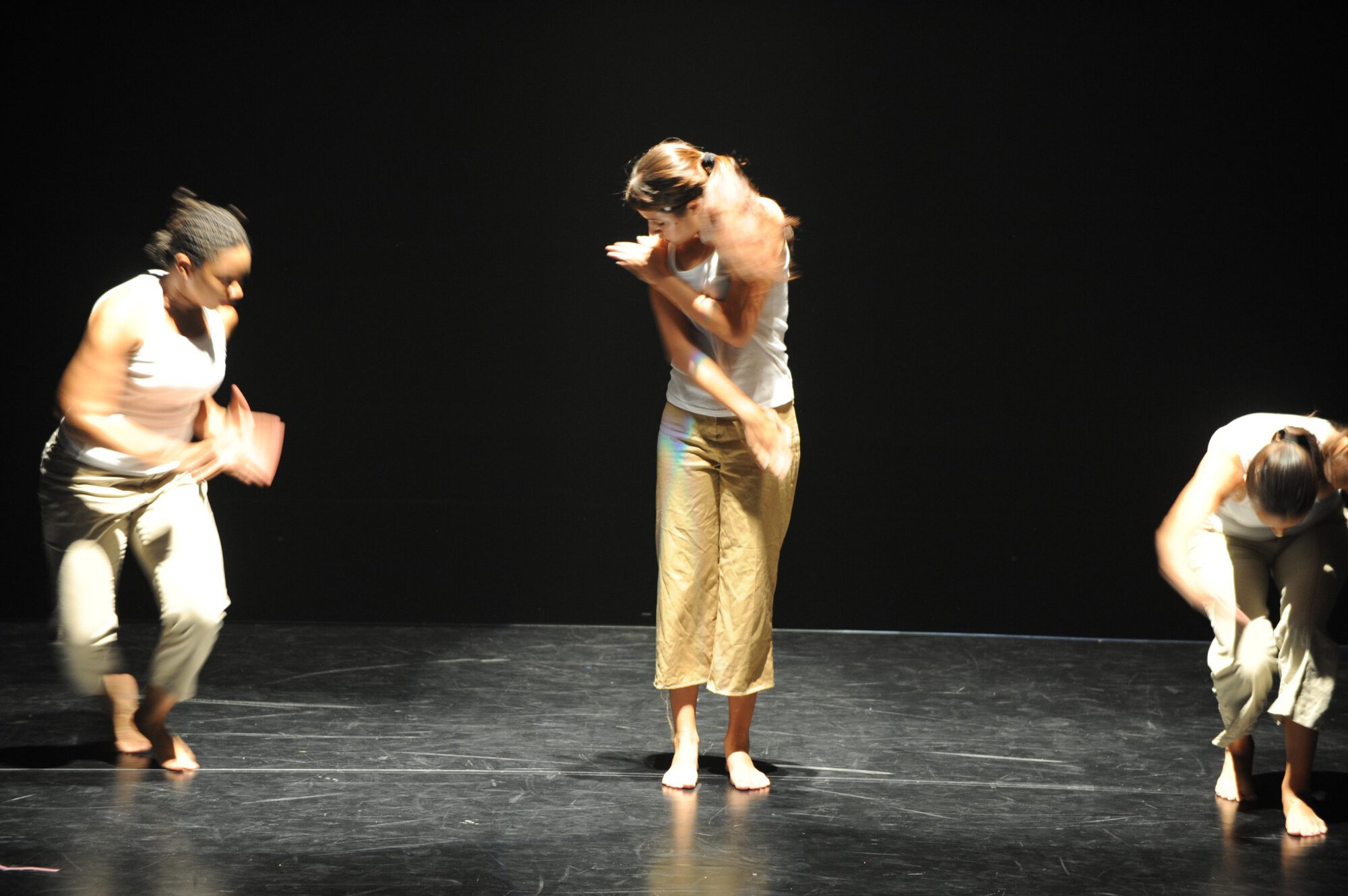 Herberger dance presentation