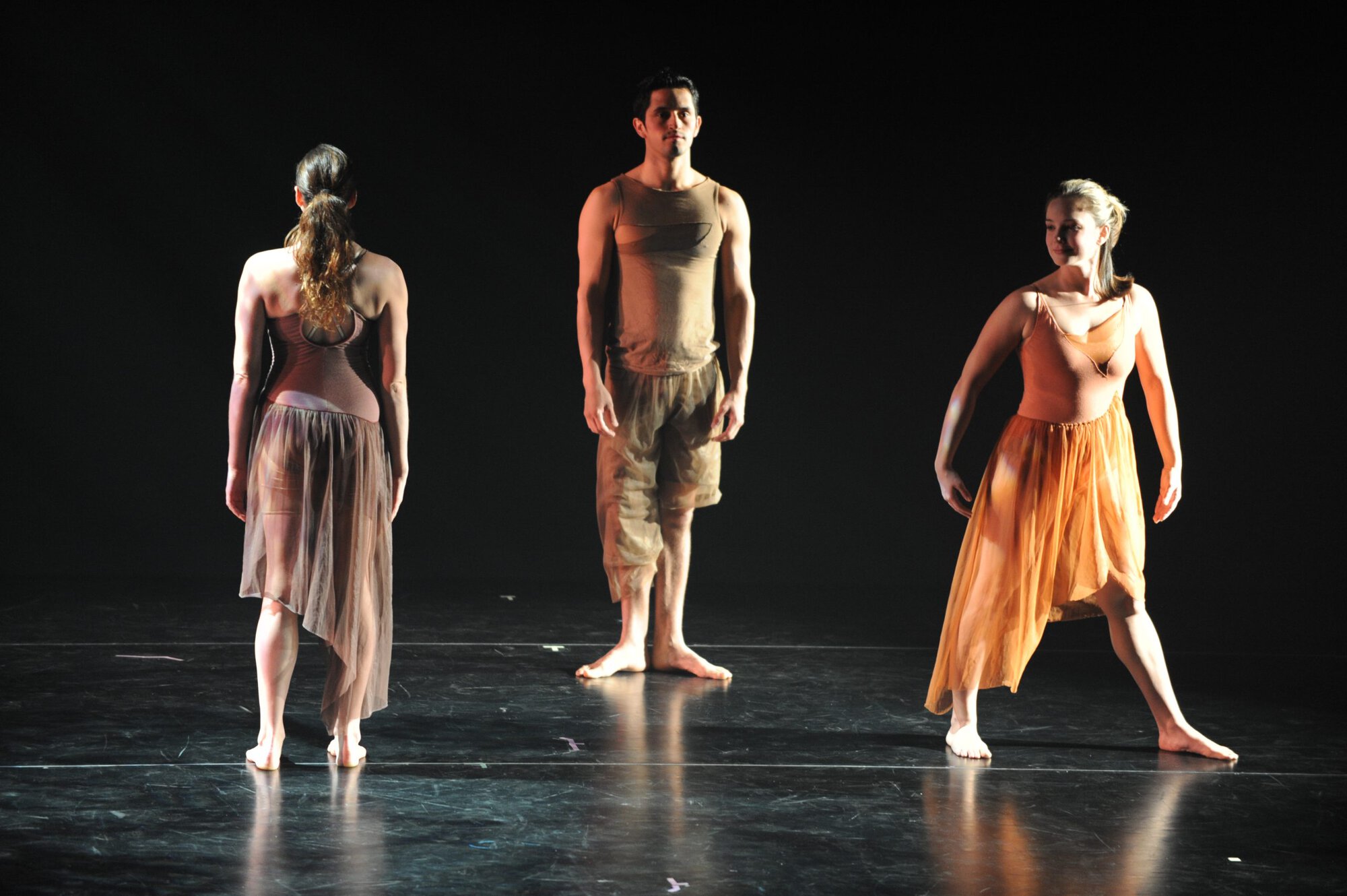 Herberger dance presentation