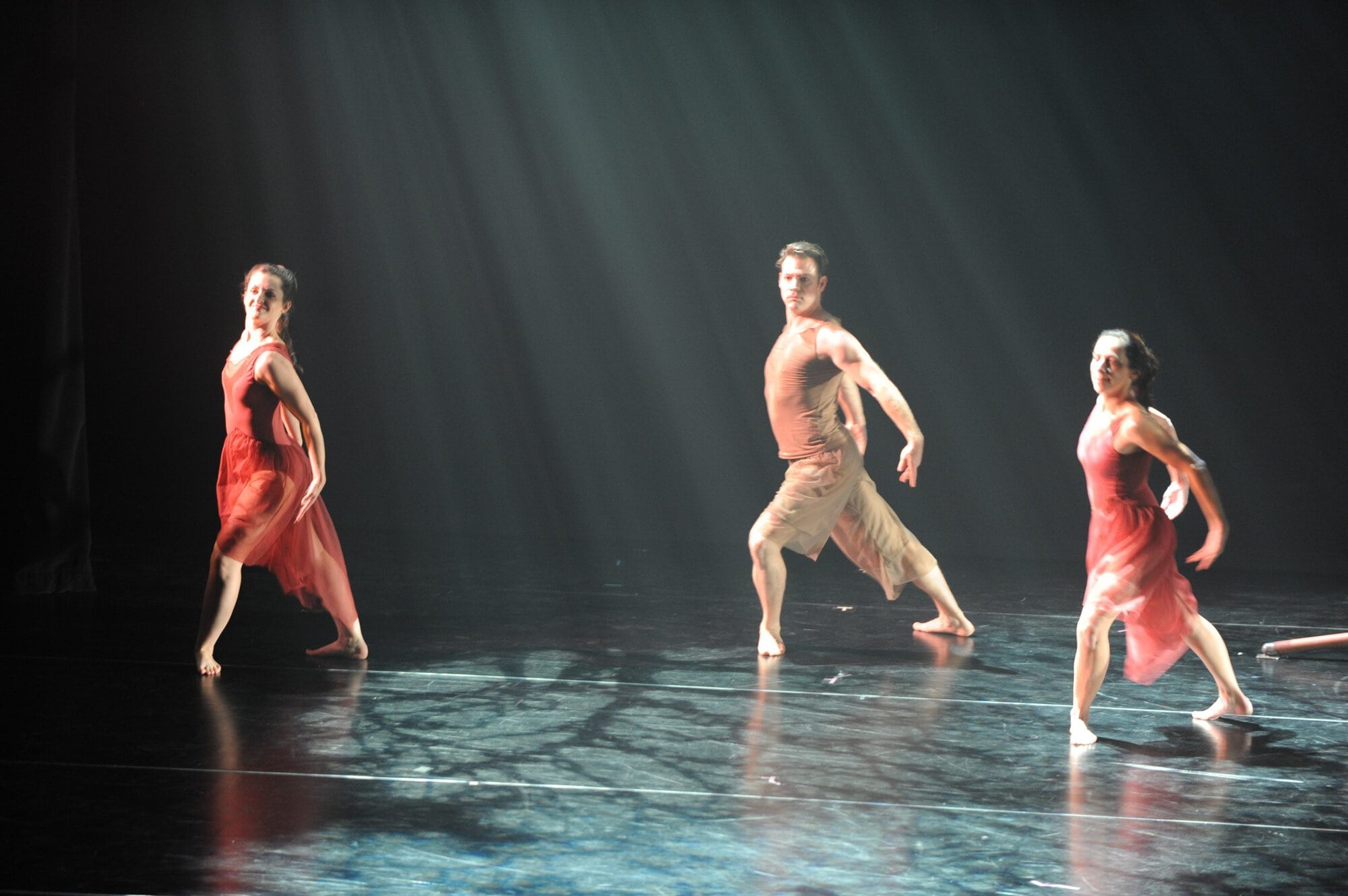 Herberger dance presentation