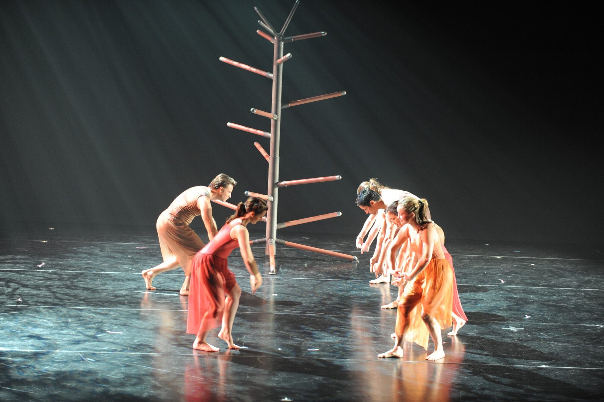 Herberger dance presentation