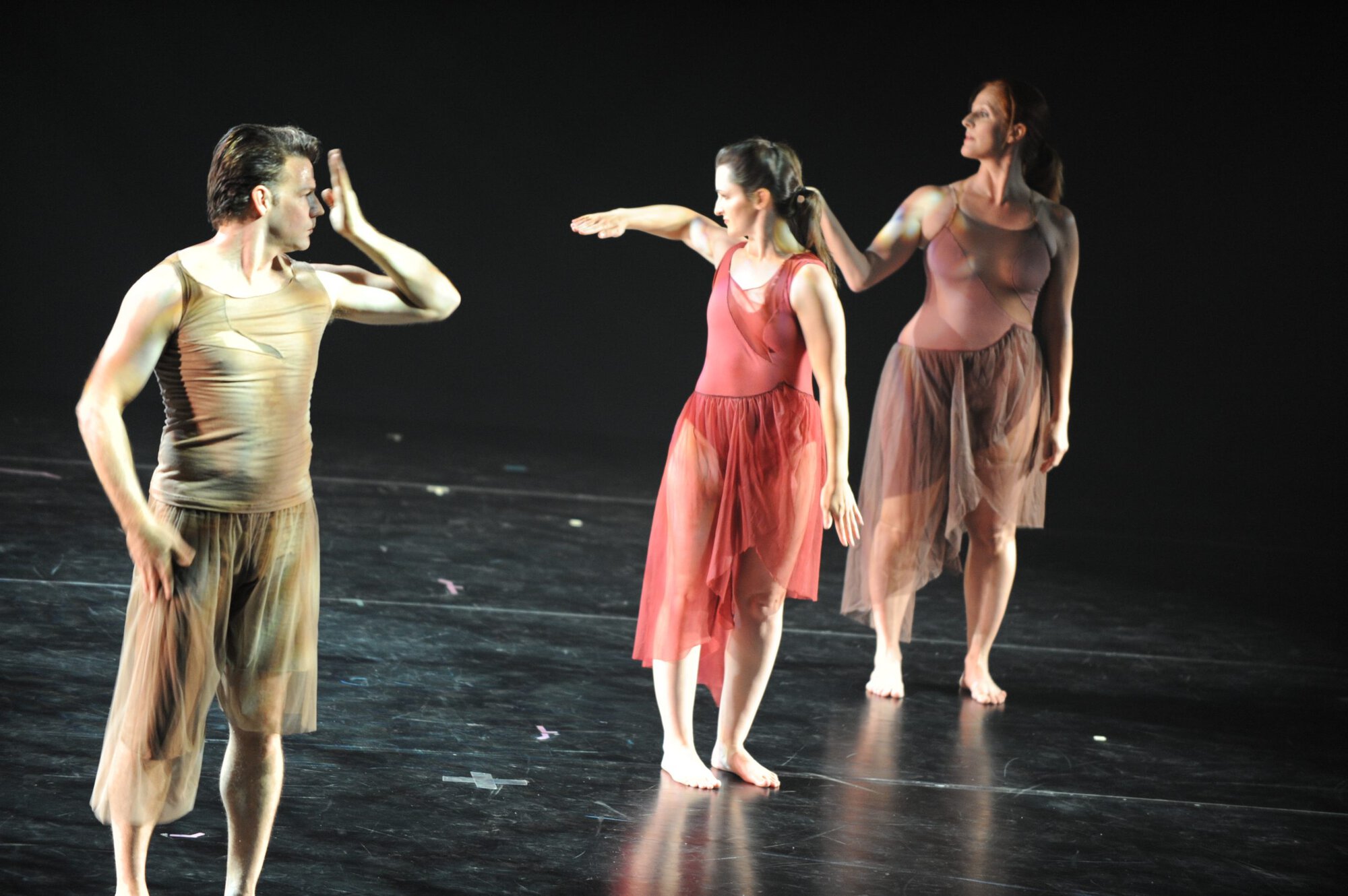 Herberger dance presentation
