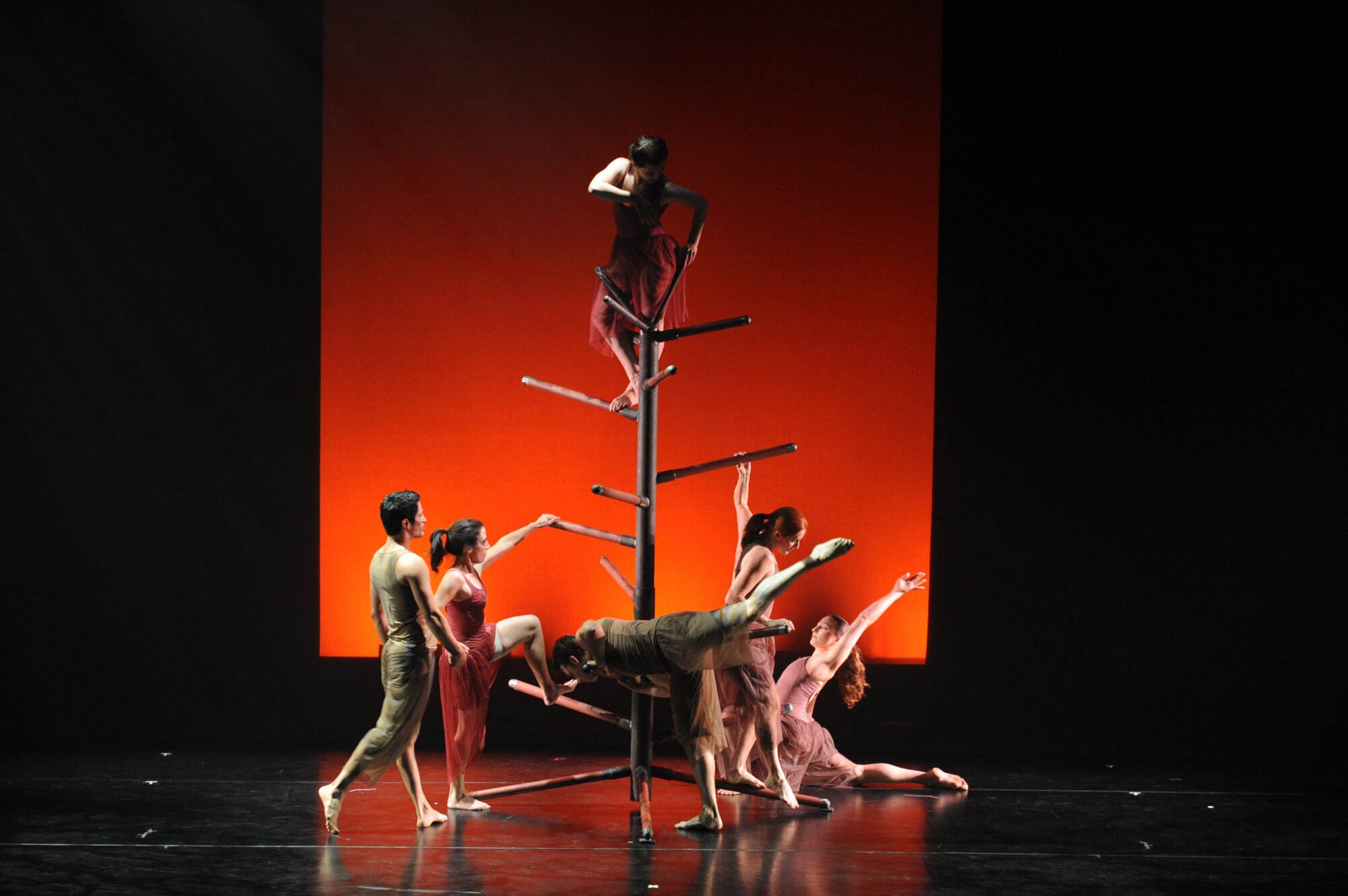 Herberger dance presentation