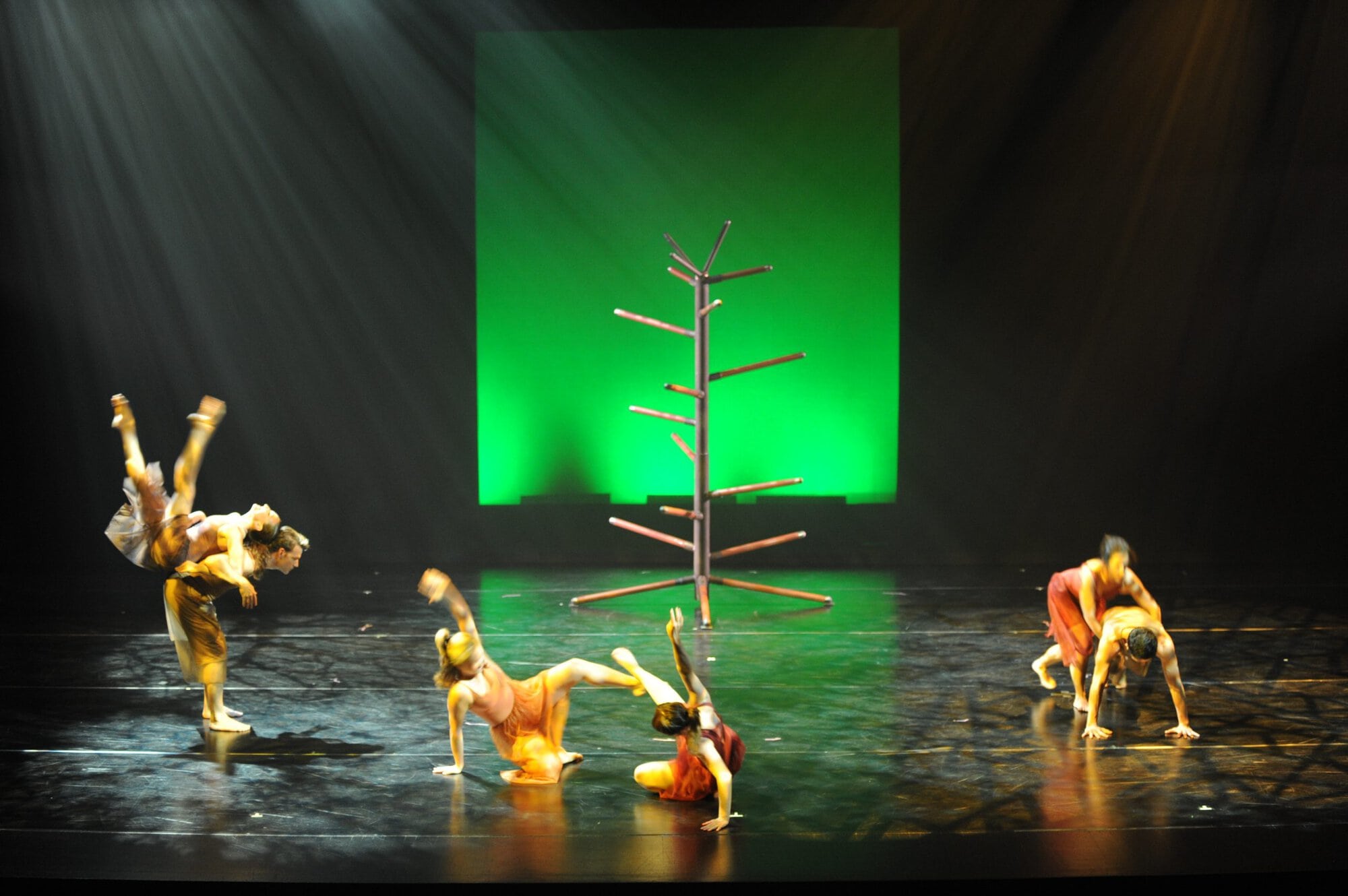 Herberger dance presentation