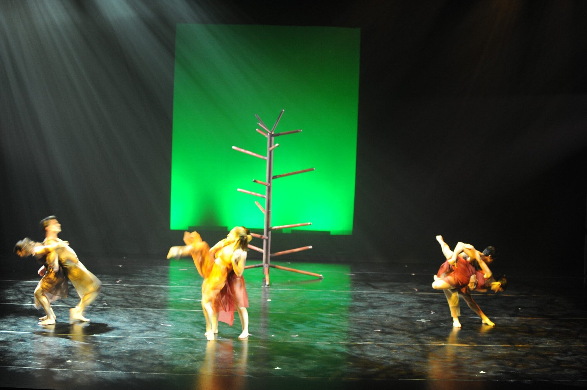 Herberger dance presentation