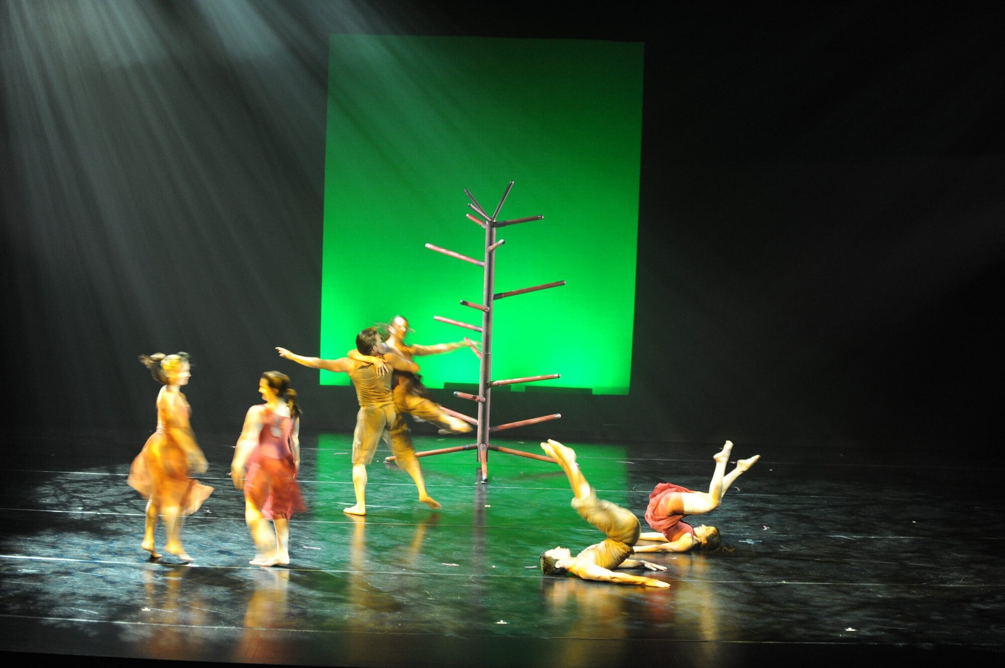 Herberger dance presentation
