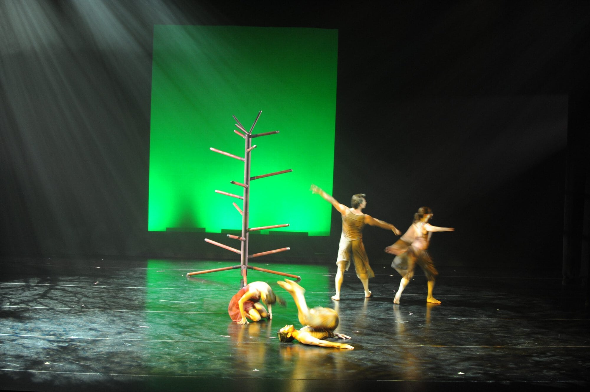 Herberger dance presentation