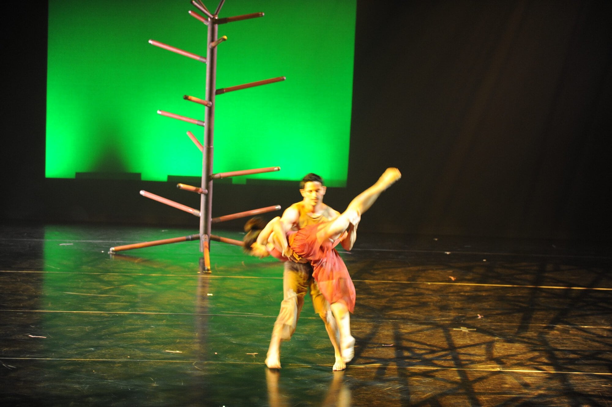Herberger dance presentation