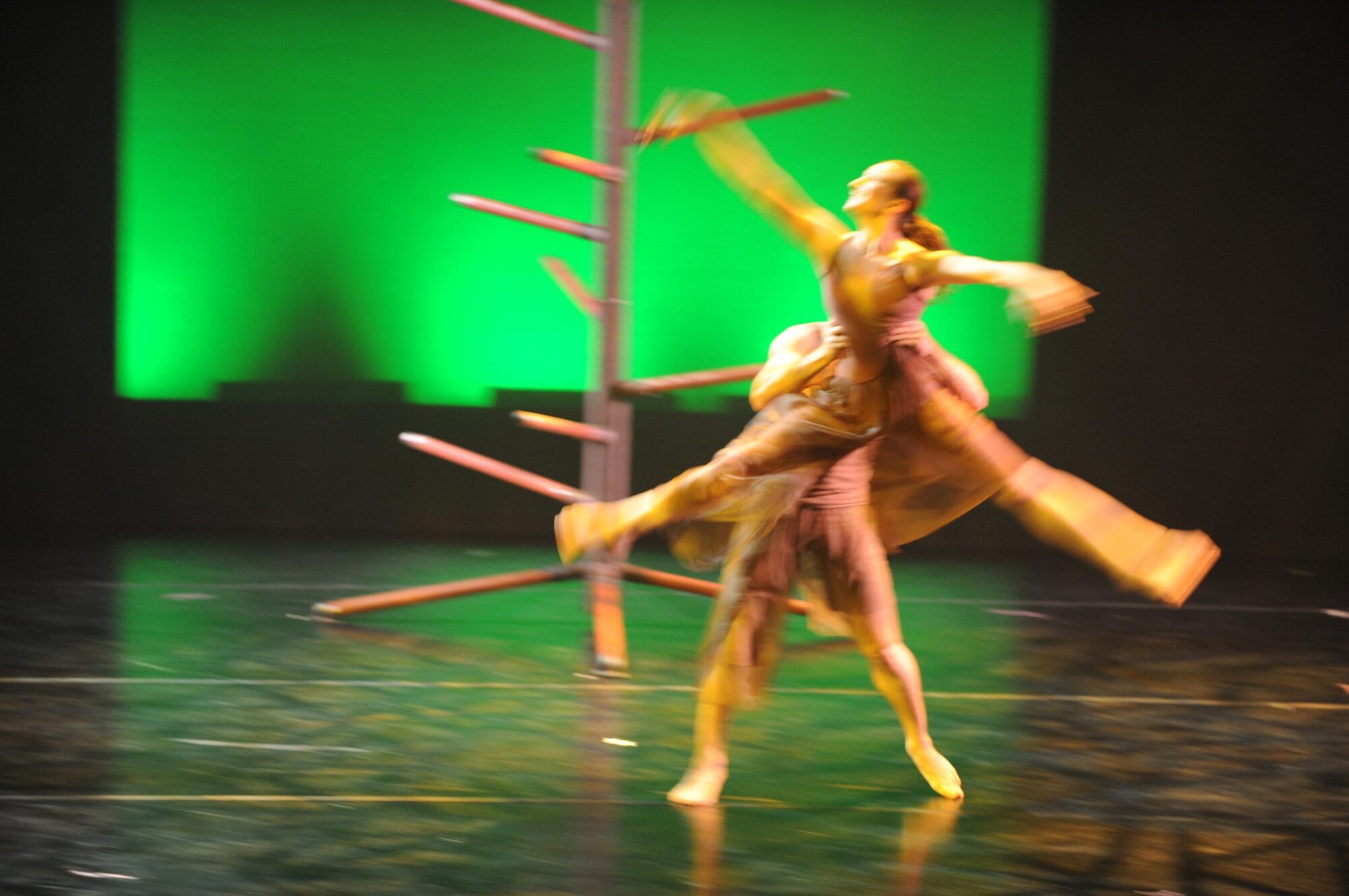 Herberger dance presentation
