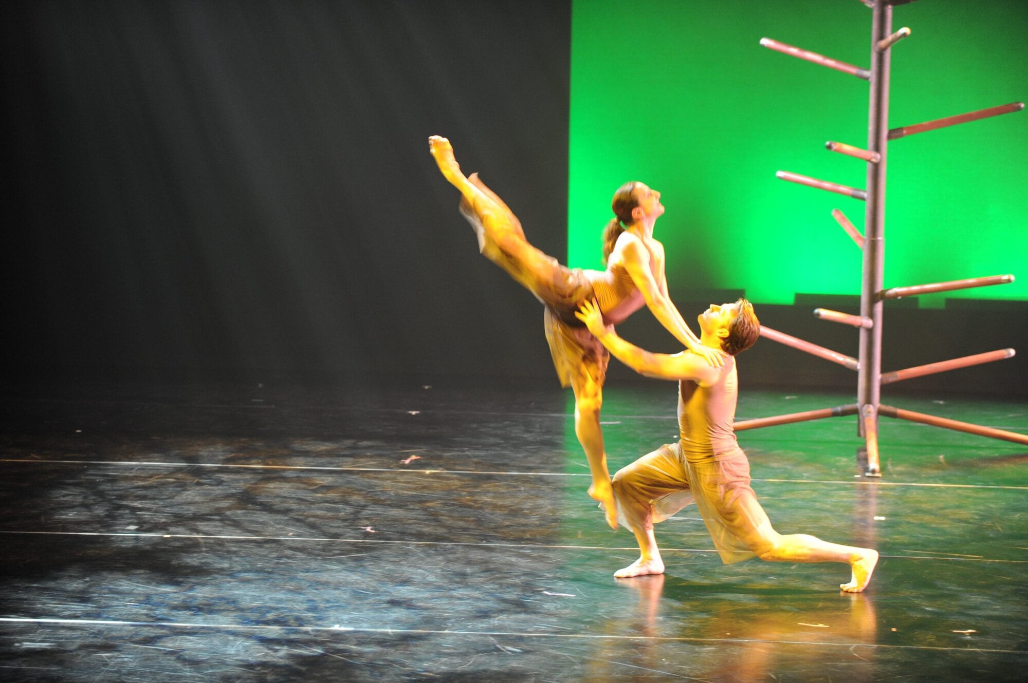 Herberger dance presentation
