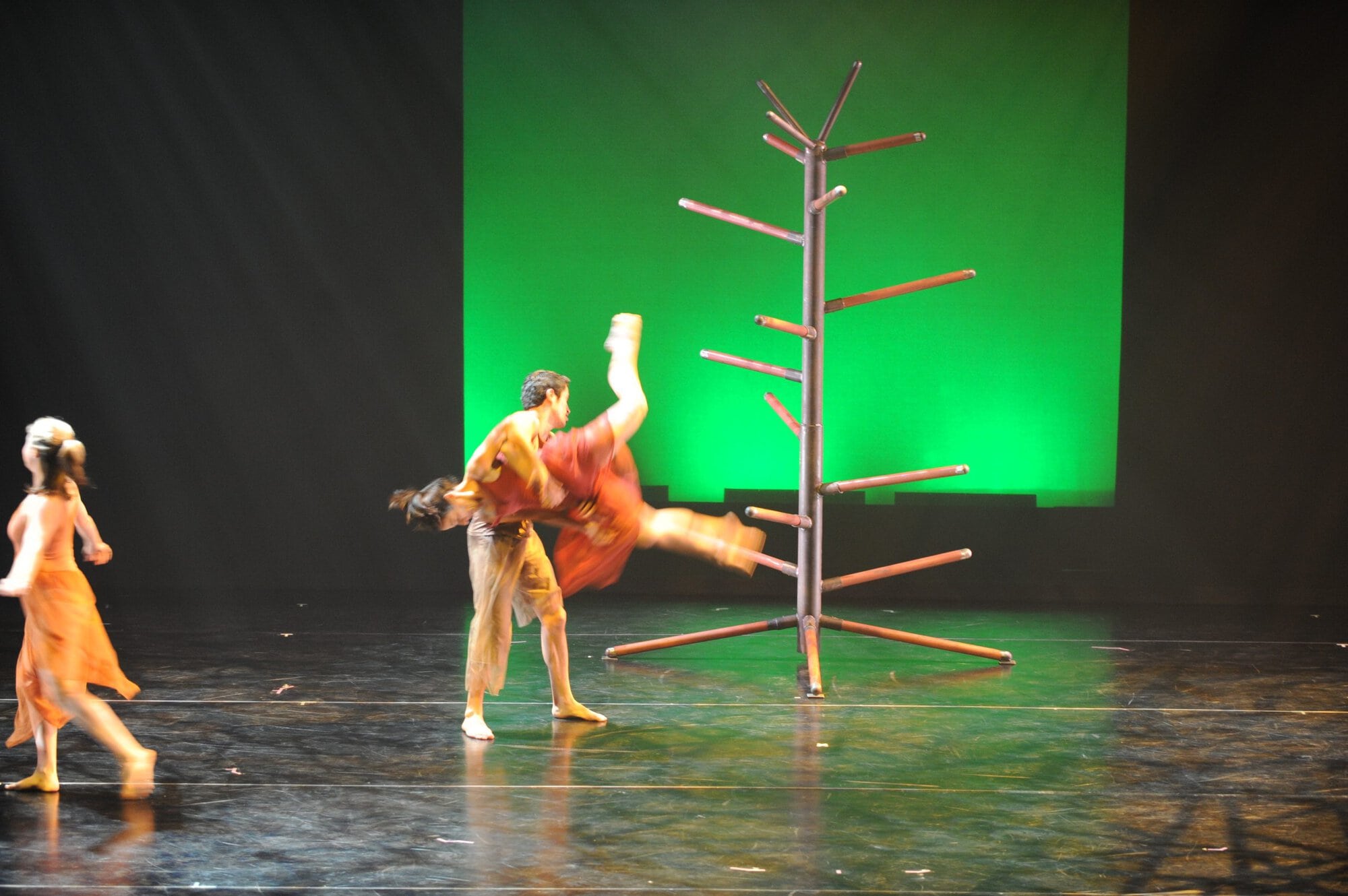 Herberger dance presentation
