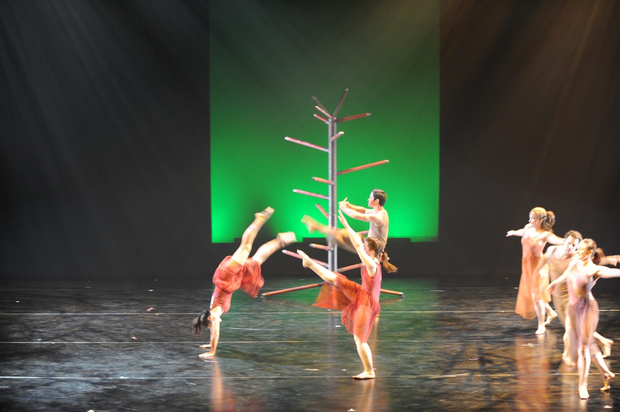 Herberger dance presentation