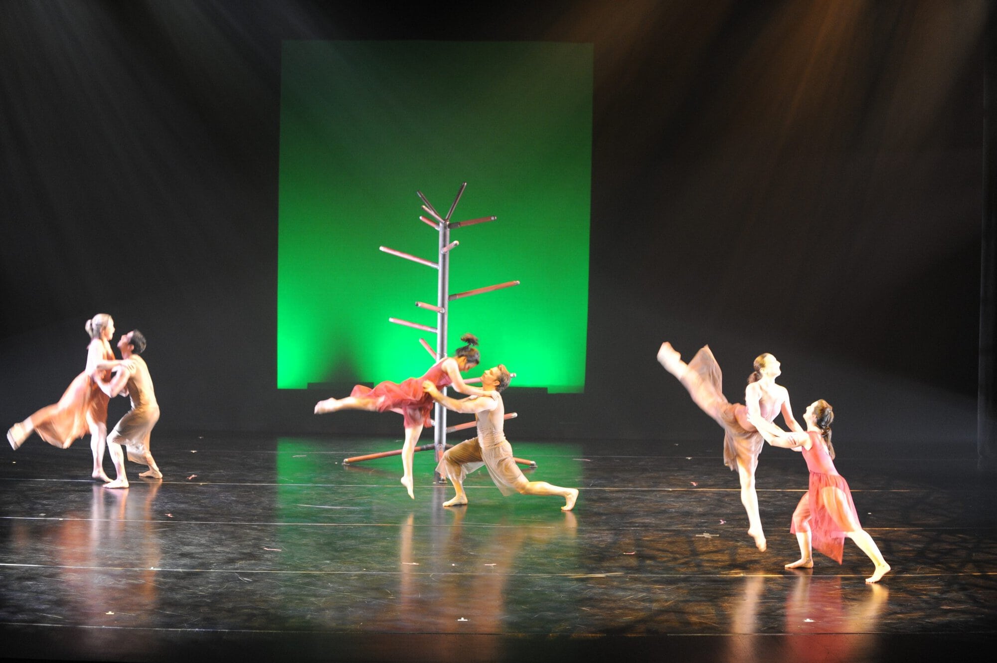 Herberger dance presentation