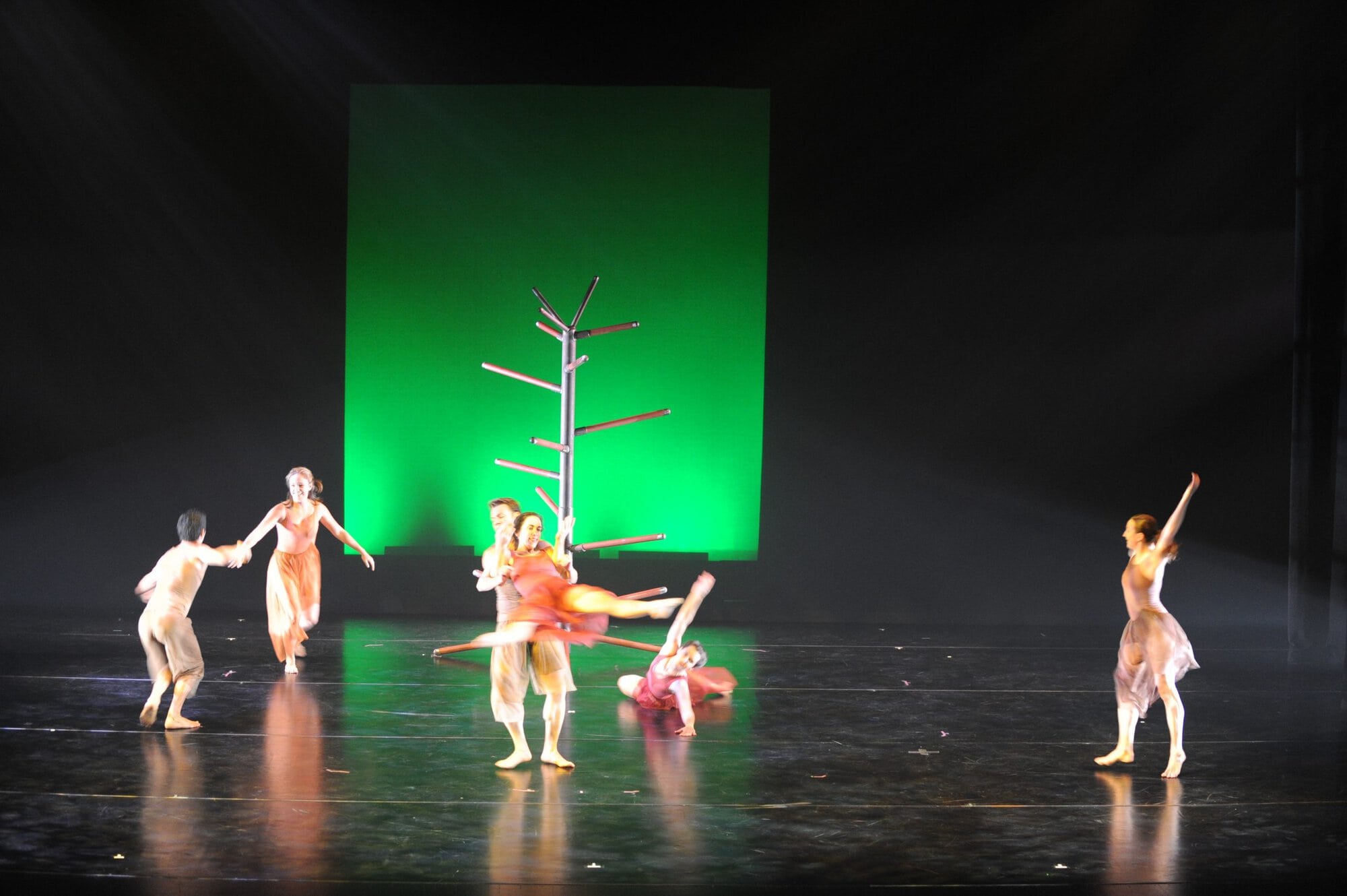 Herberger dance presentation