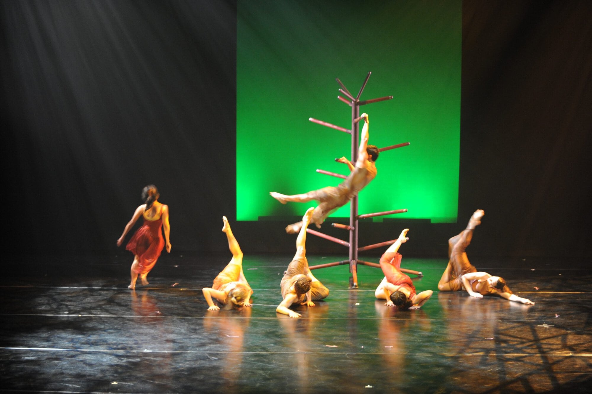 Herberger dance presentation