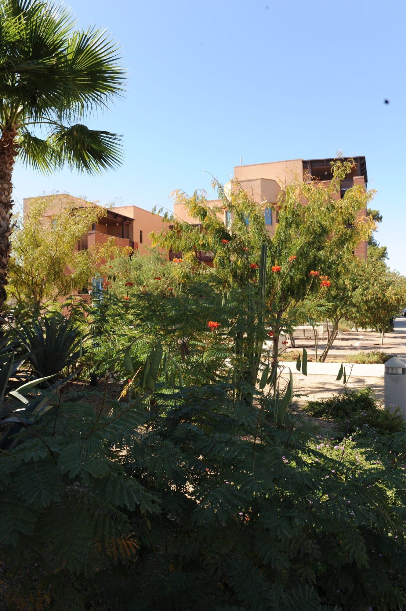 Campus Buildings