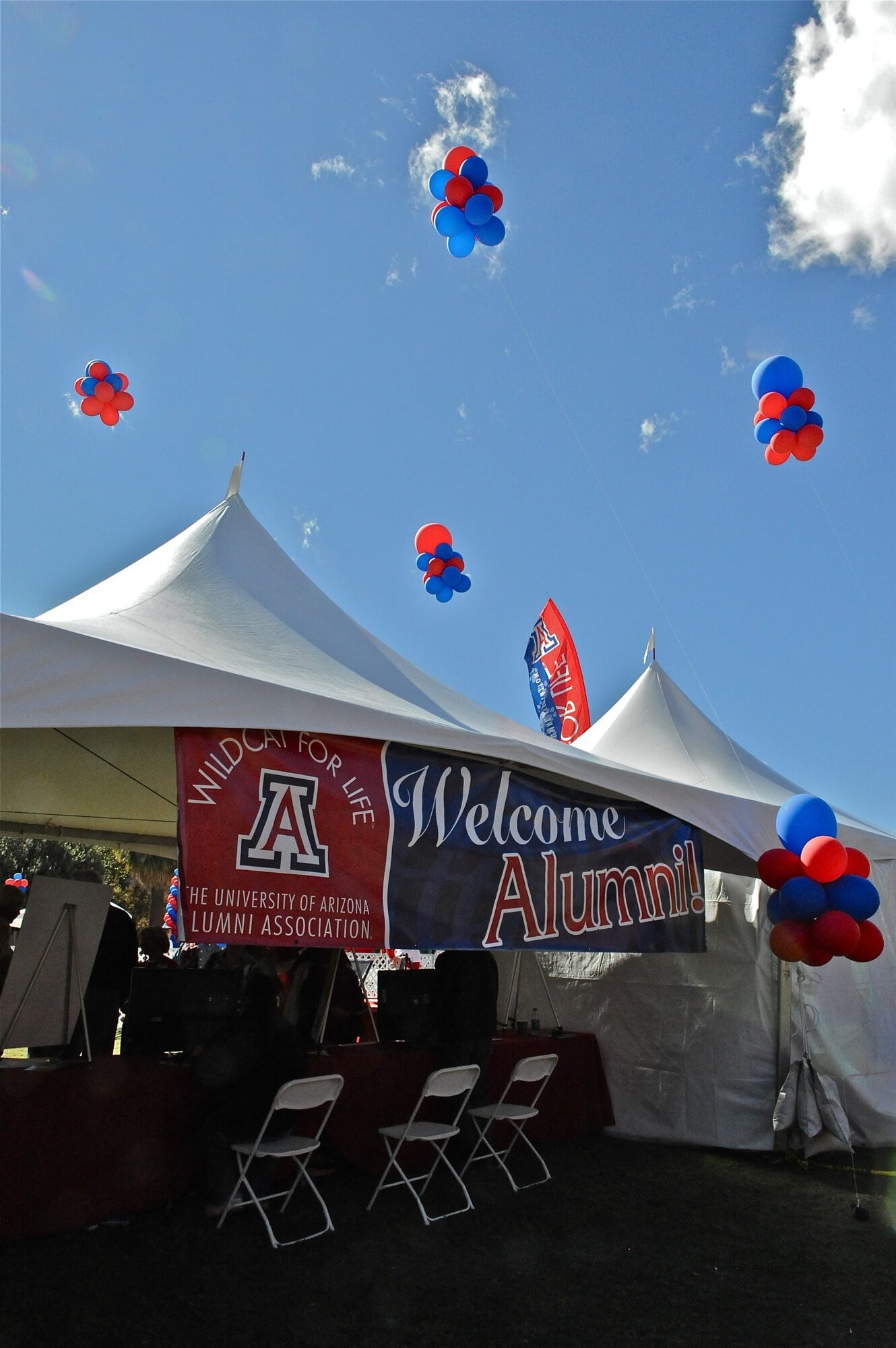 Homecoming on the Mall