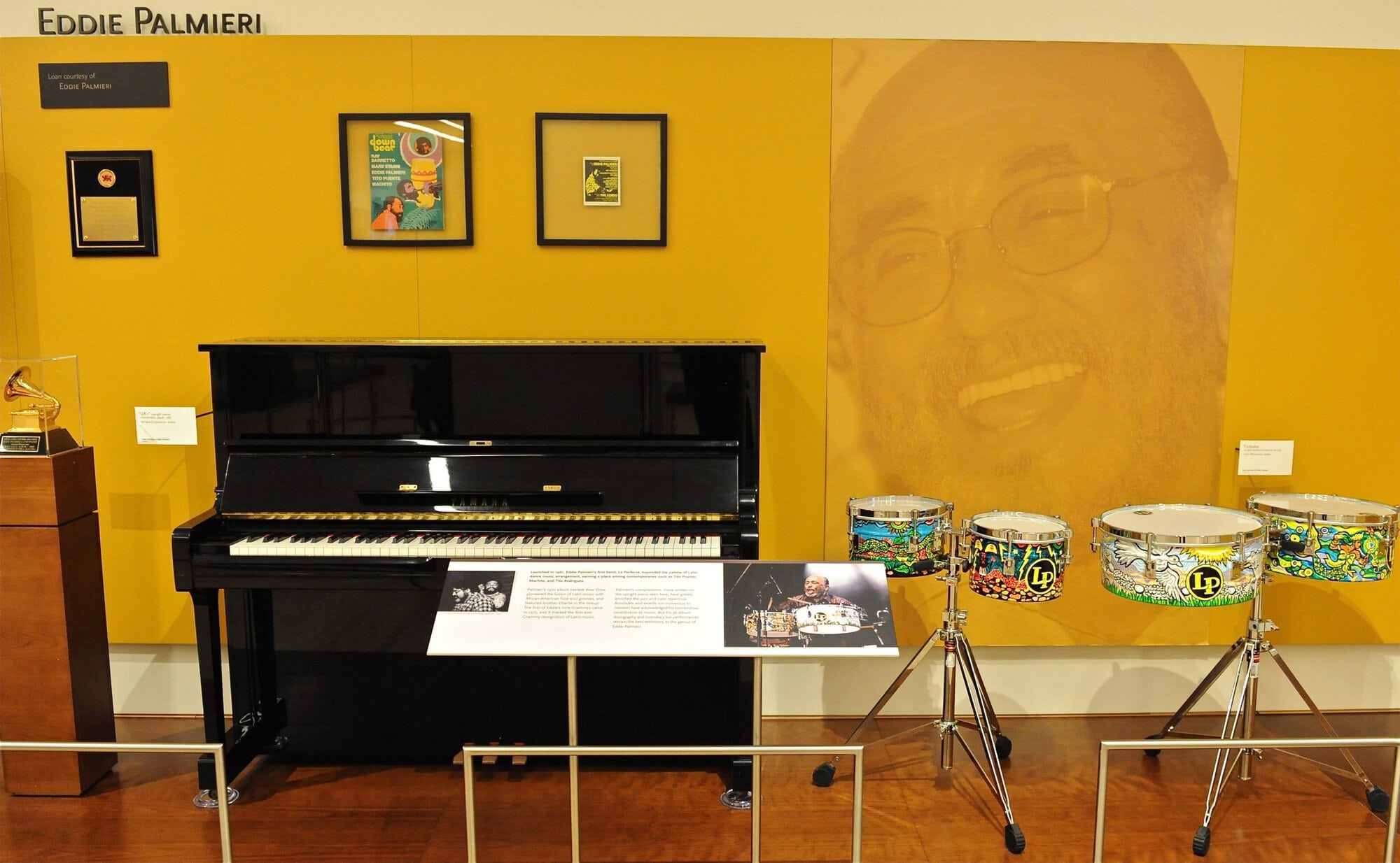 Musical Instrument Museum (MIM)
