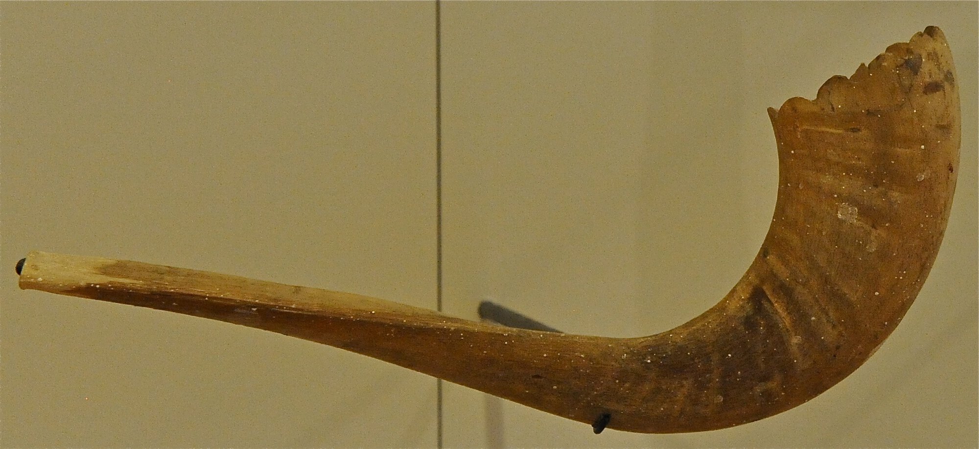 Musical Instrument Museum (MIM)