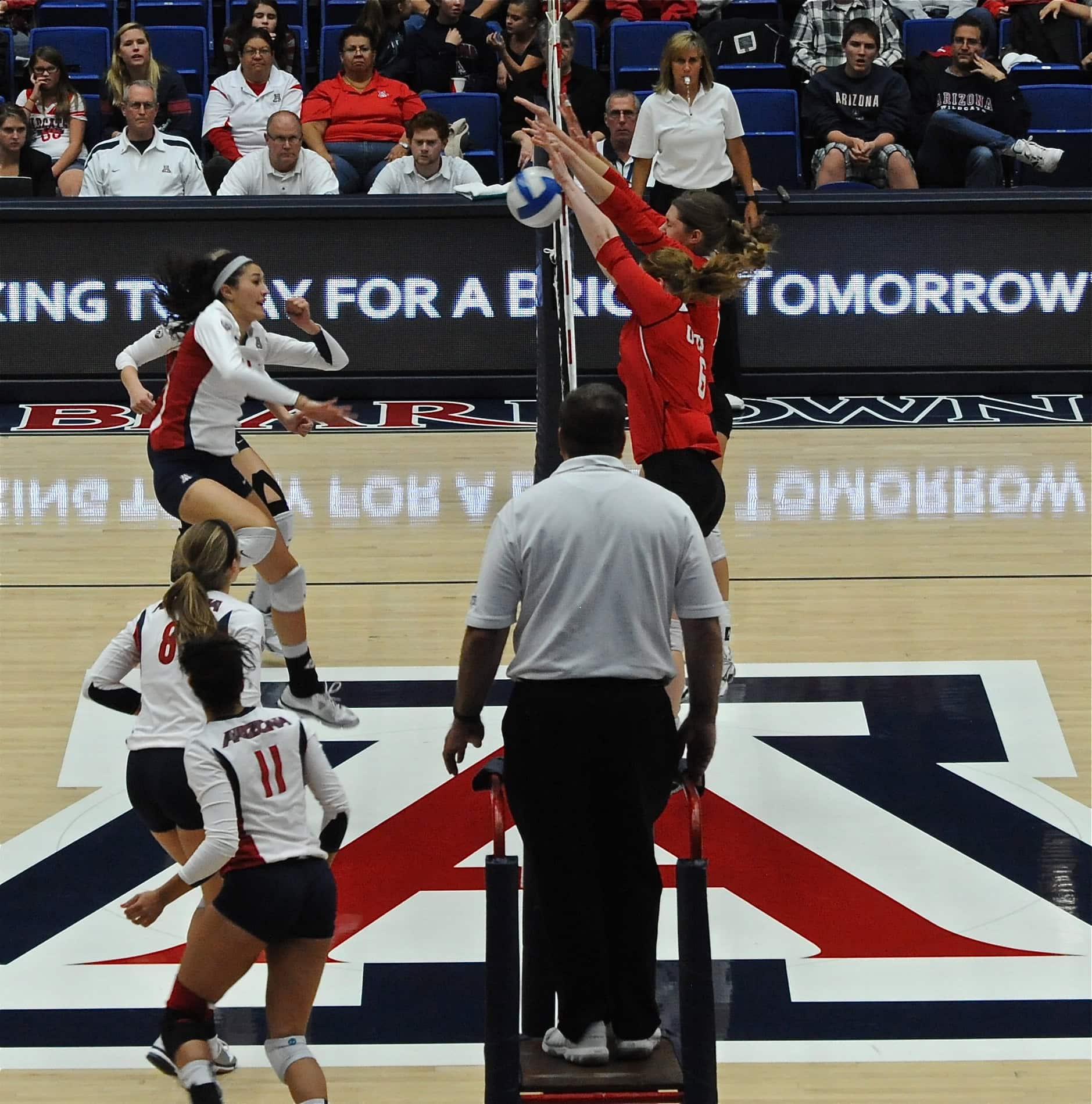 UA Utah Volleyball 11/11/11