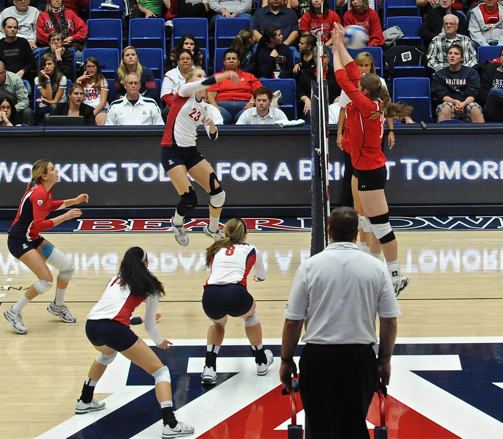 UA Utah Volleyball 11/11/11
