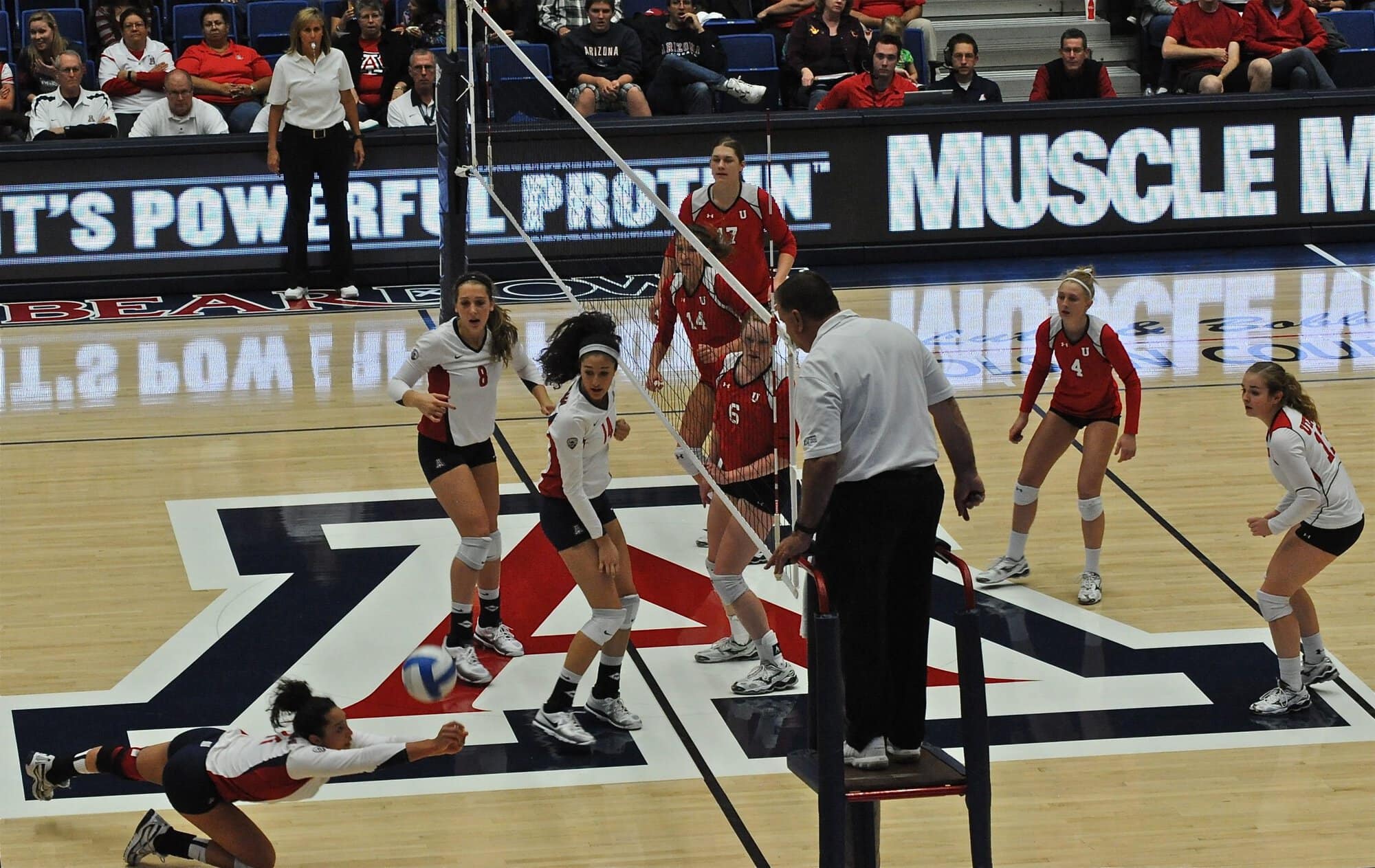 UA Utah Volleyball 11/11/11