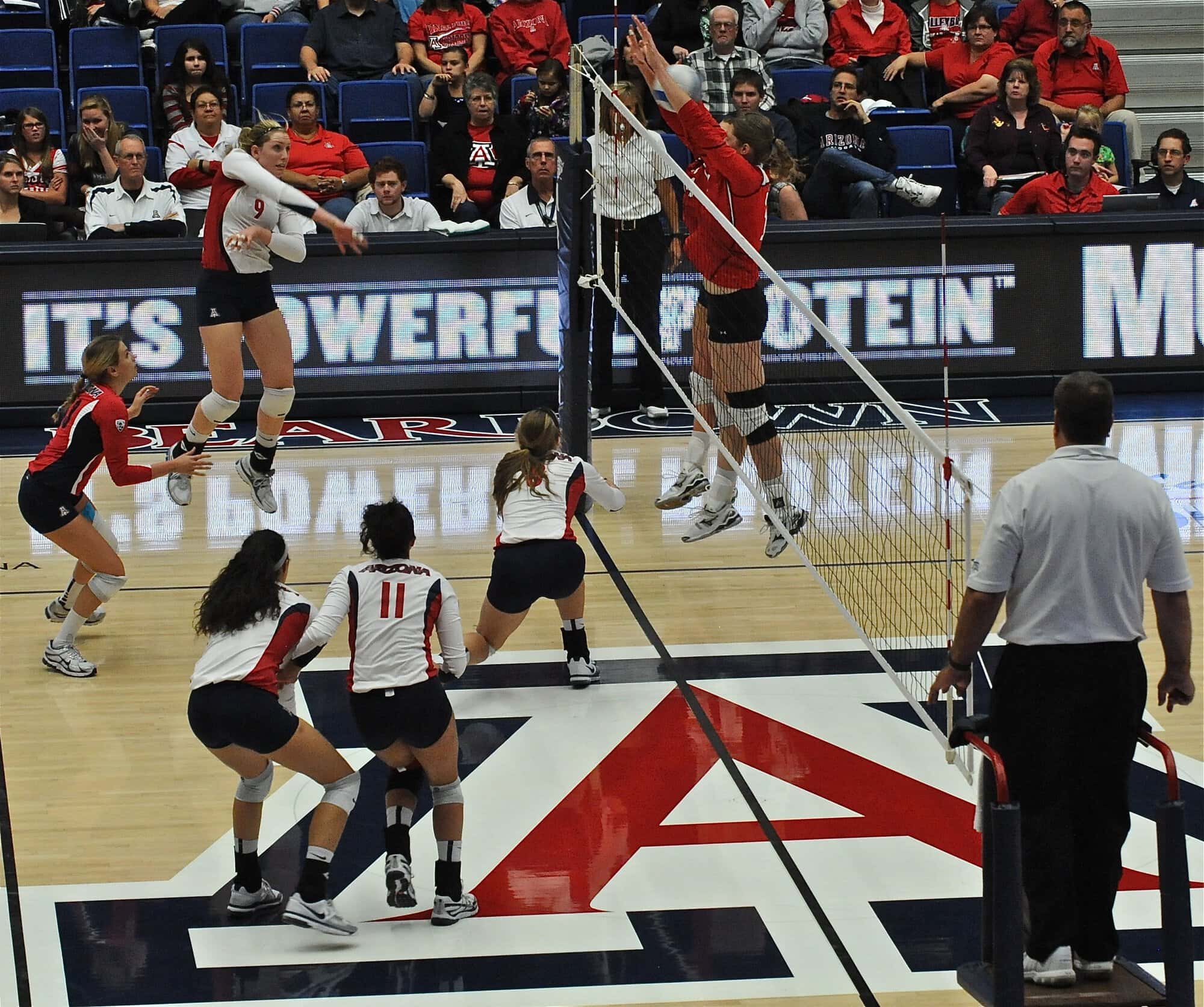 UA Utah Volleyball 11/11/11