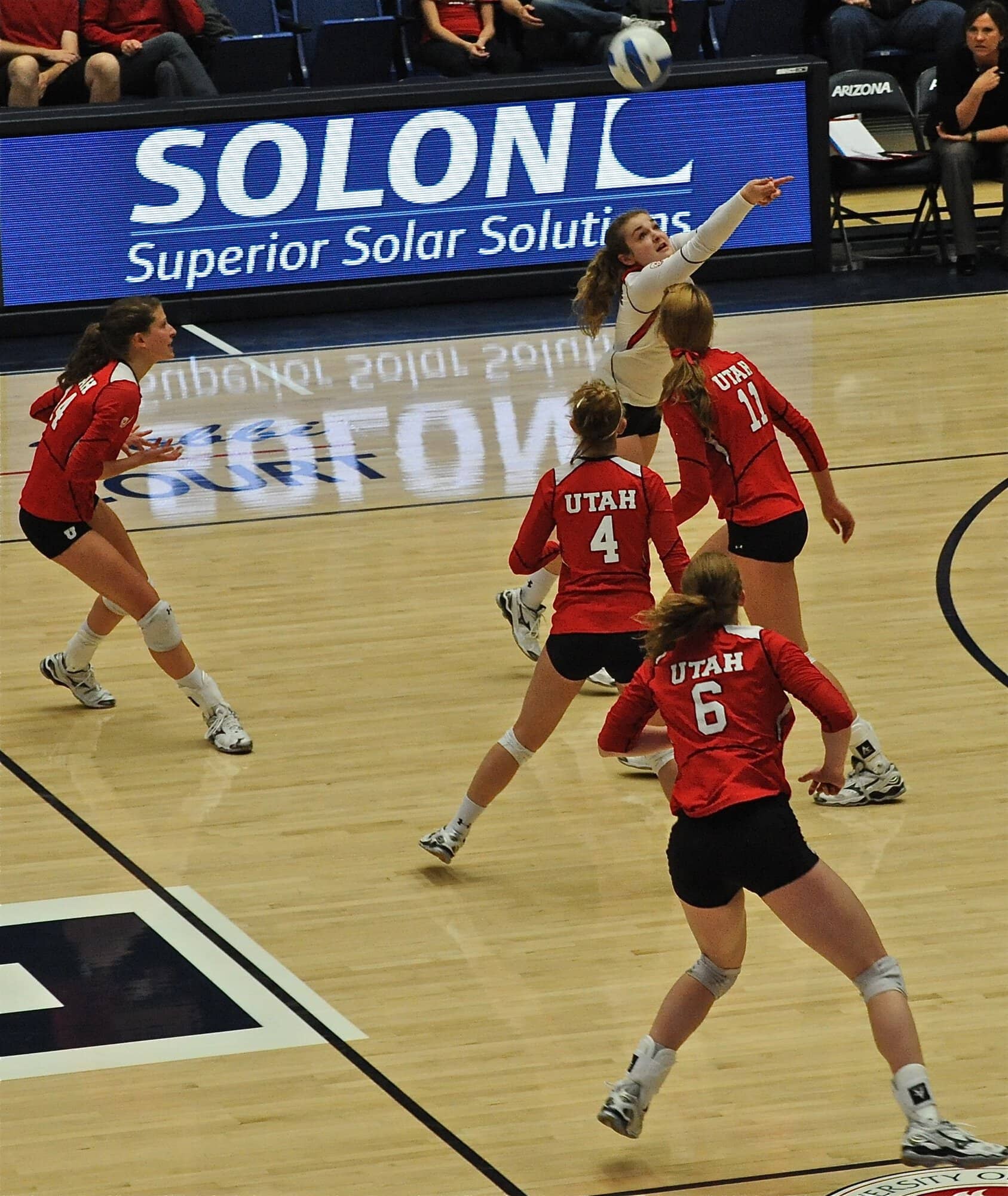 UA Utah Volleyball 11/11/11