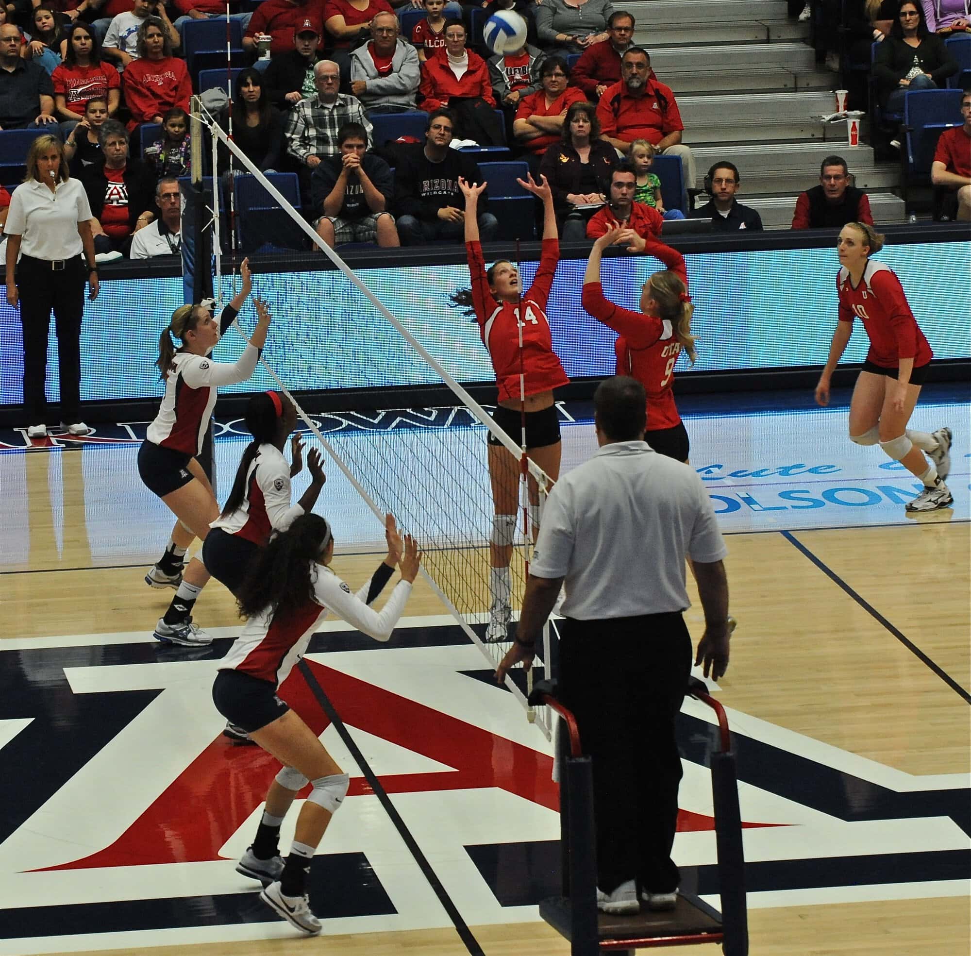 UA Utah Volleyball 11/11/11